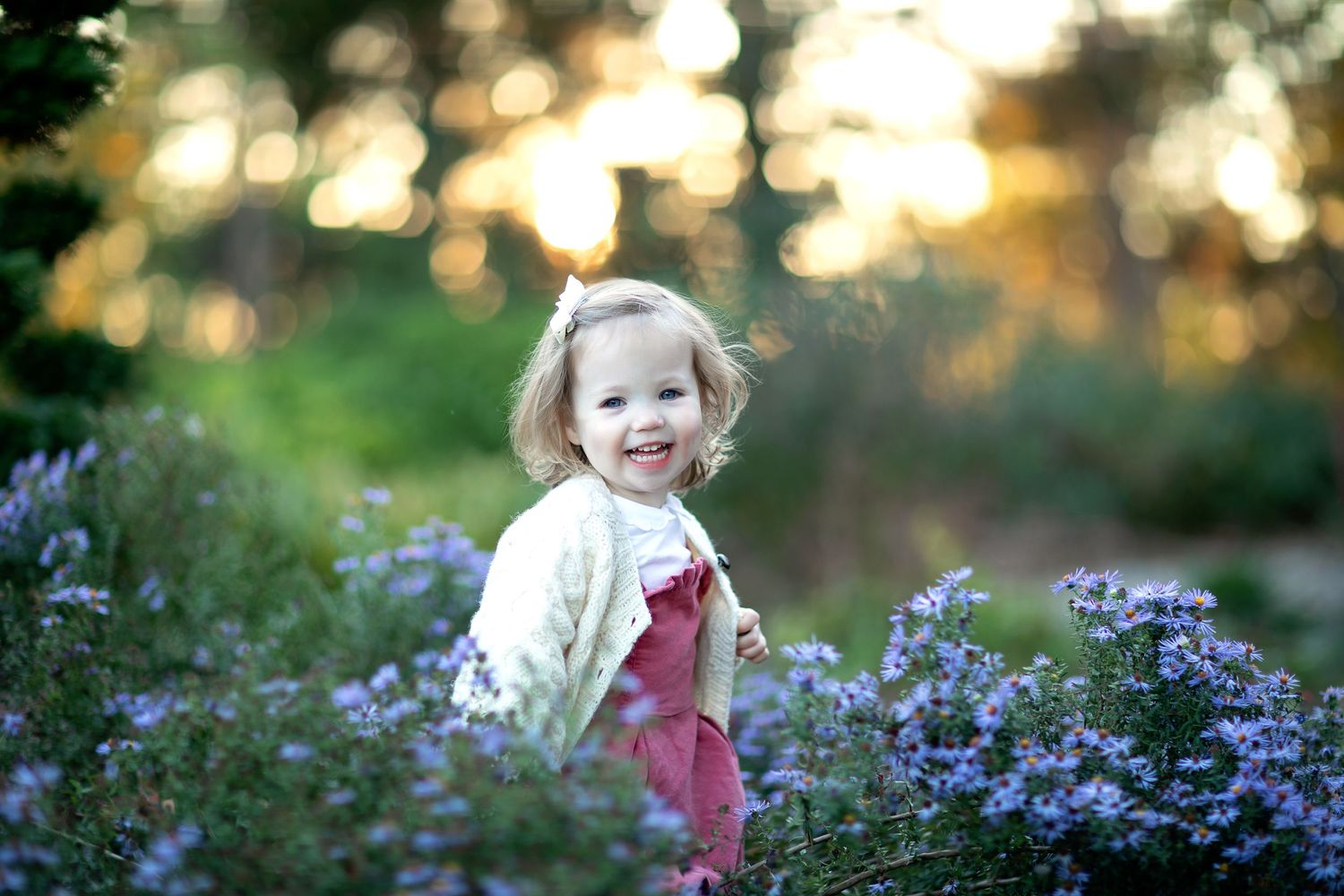Purple wildflowers bloom in a lush garden setting with soft bokeh lighting.