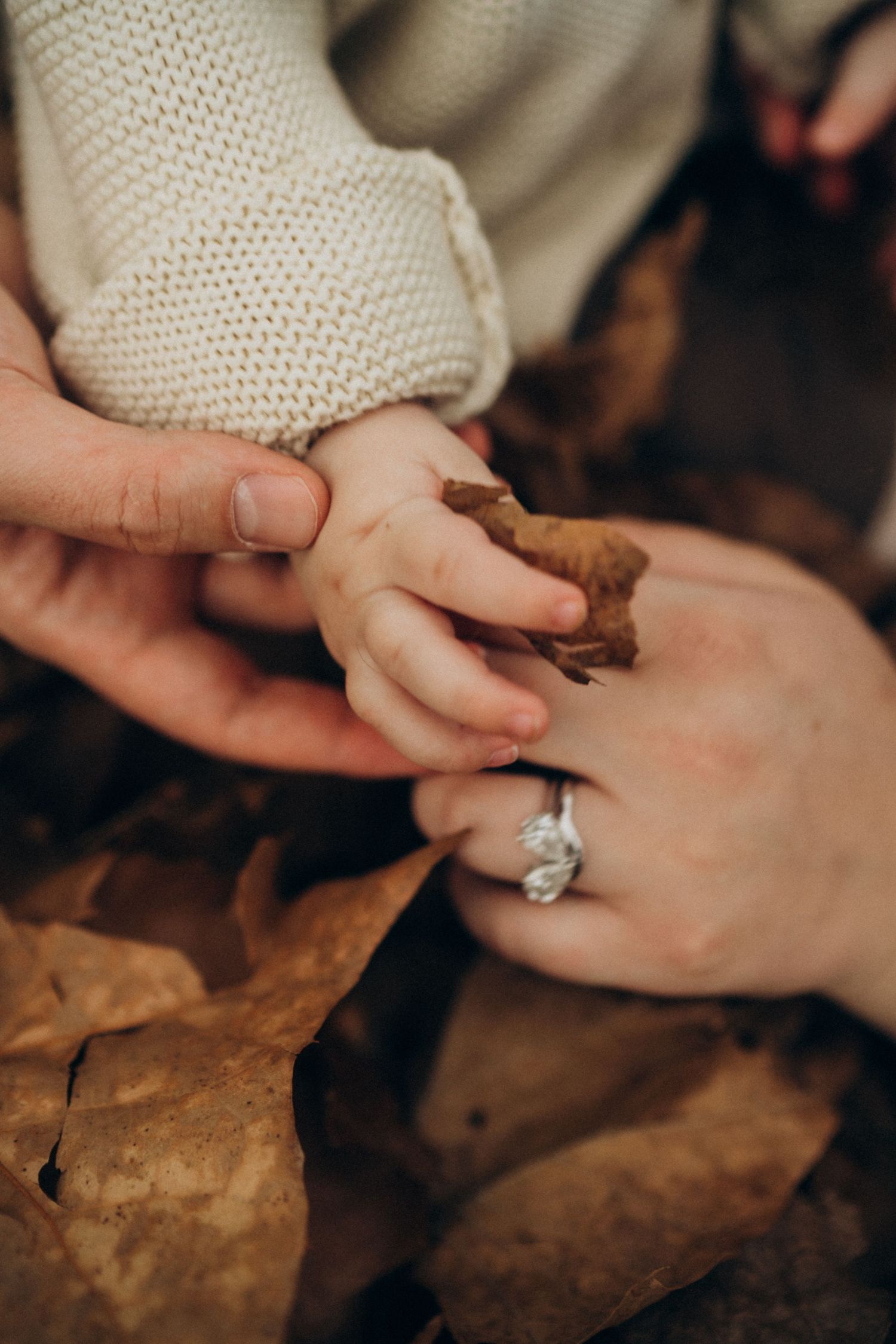 Close-up detail shot of hands with engagement ring among autumn leaves.