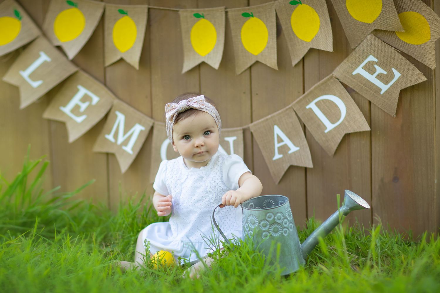 Yellow lemon themed party banner decorations against wooden fence.