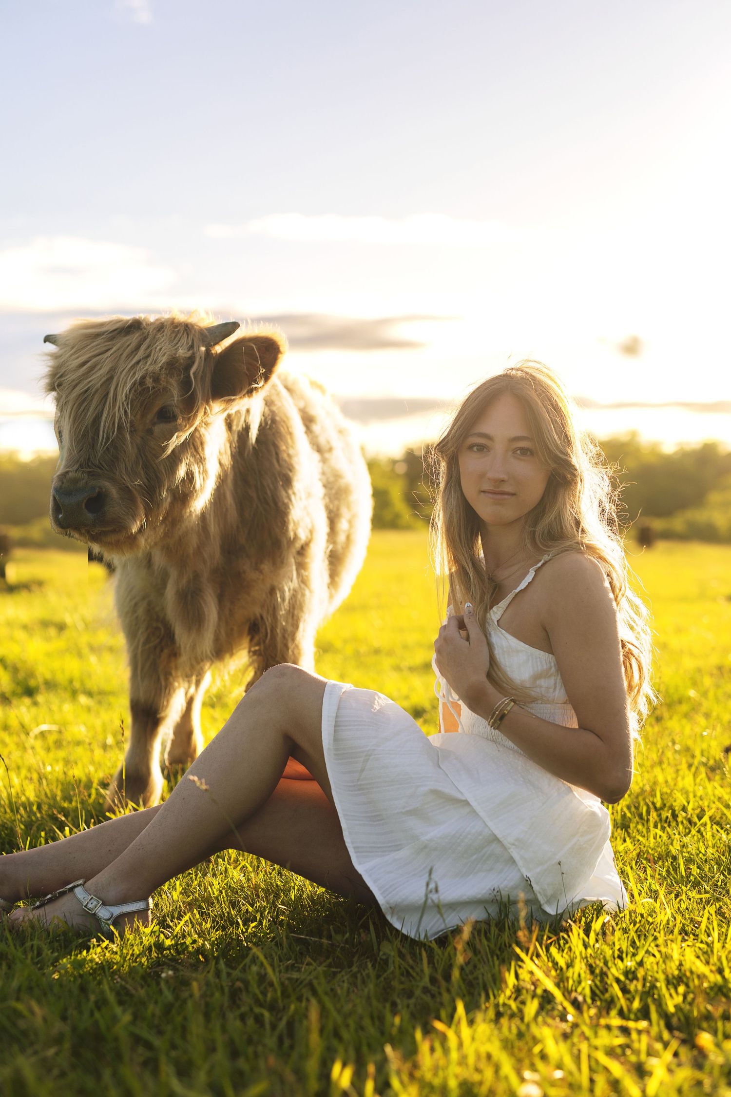 Highland cow and person in white dress lying in sunlit grass field.