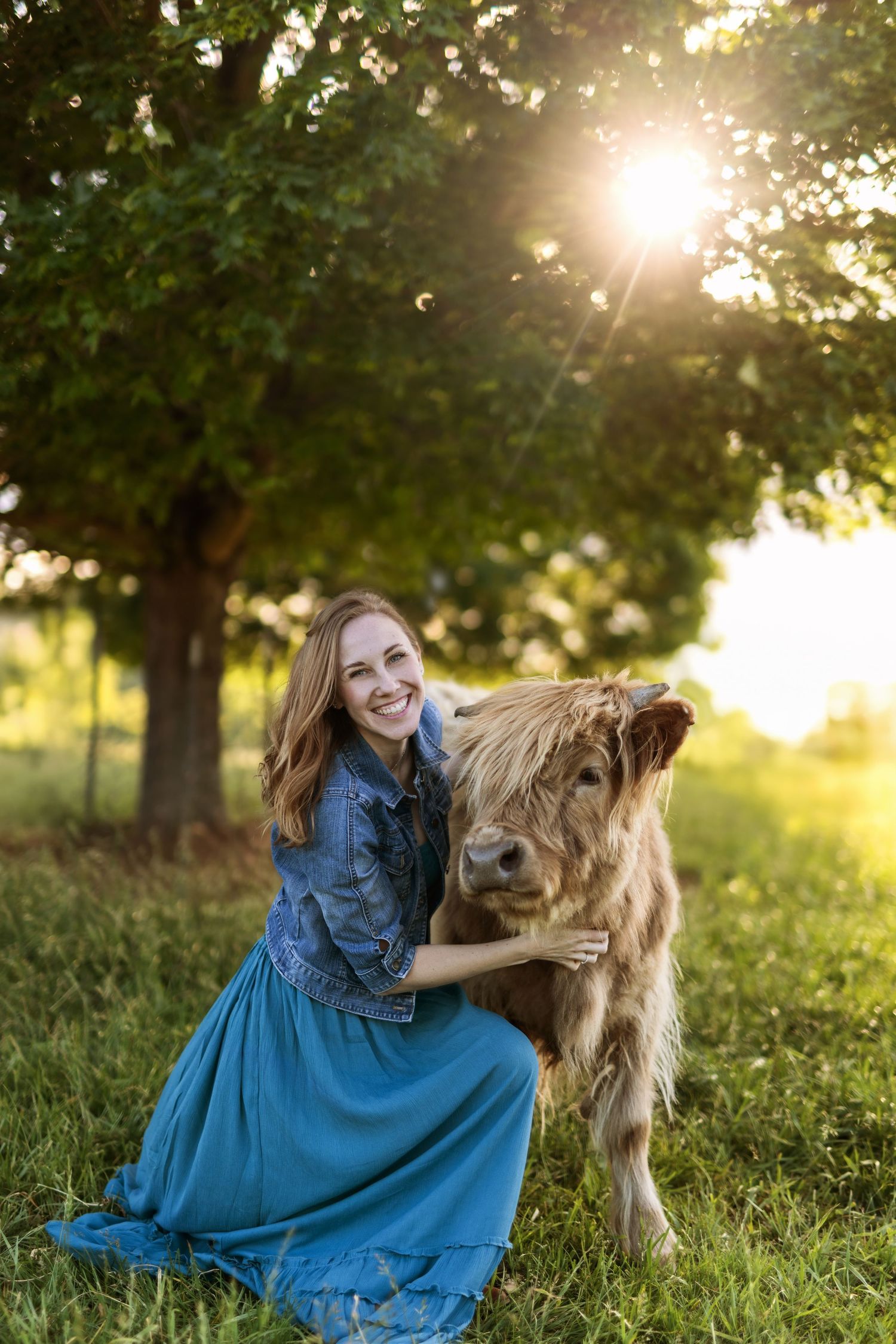 Highland cow and person in blue dress posing in sunlit meadow.