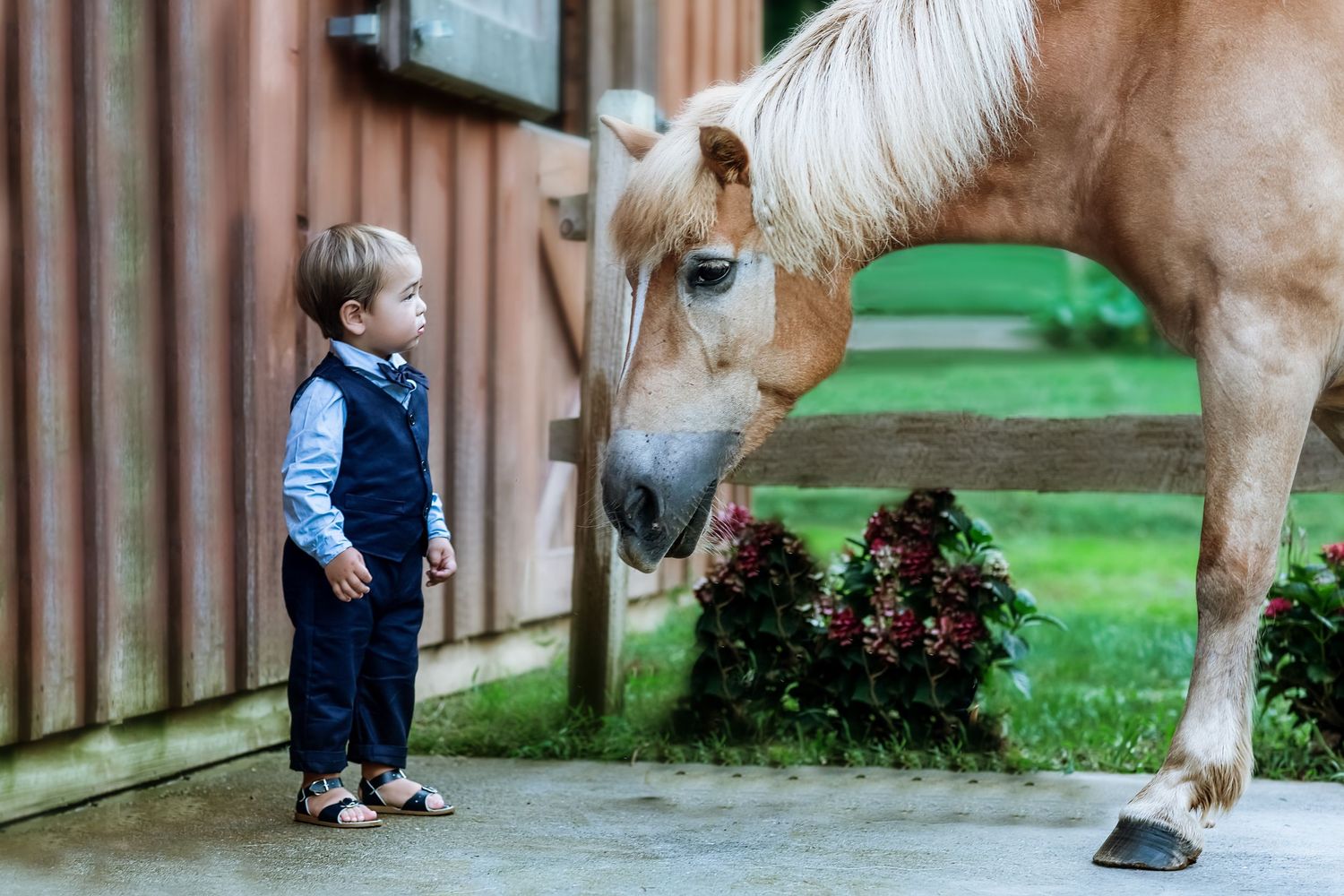 A gentle horse bends down to greet a small visitor by a wooden fence.
