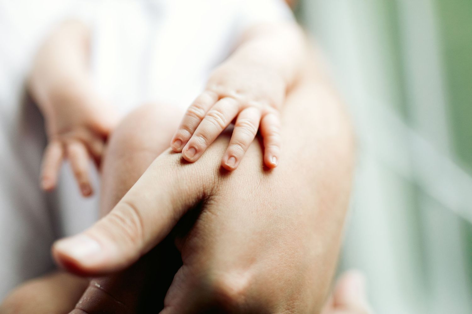 Artistic close-up photograph with soft focus and gentle natural lighting.