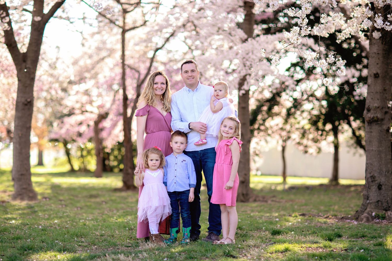 Family portrait under blooming cherry blossom trees in springtime.
