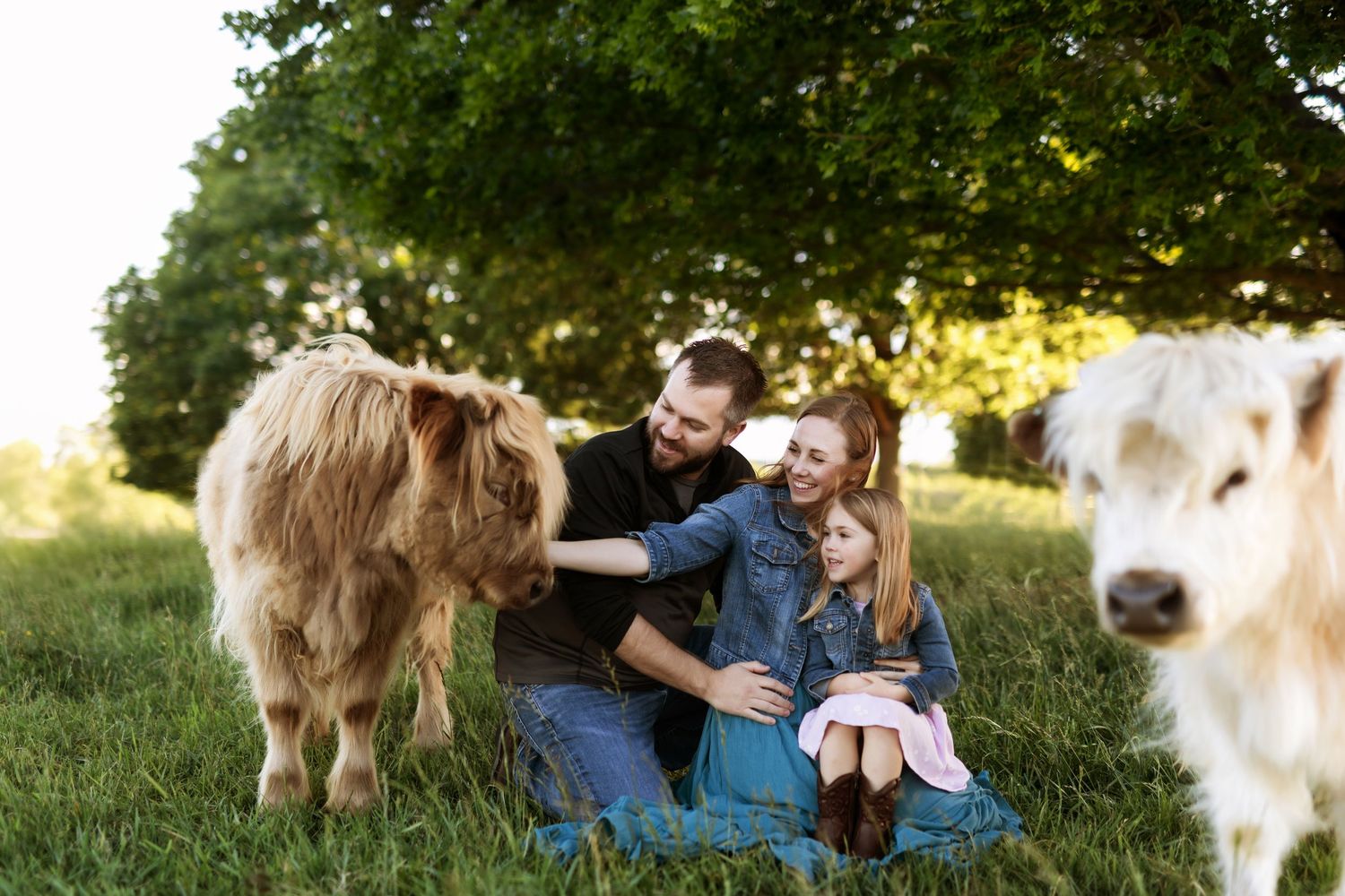 A group enjoys quality time together on grassy lawn with golden retrievers nearby.