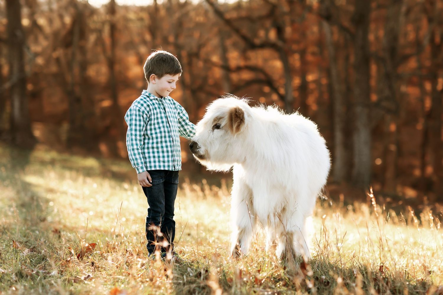 A child and white dog walk together through a golden autumn forest.