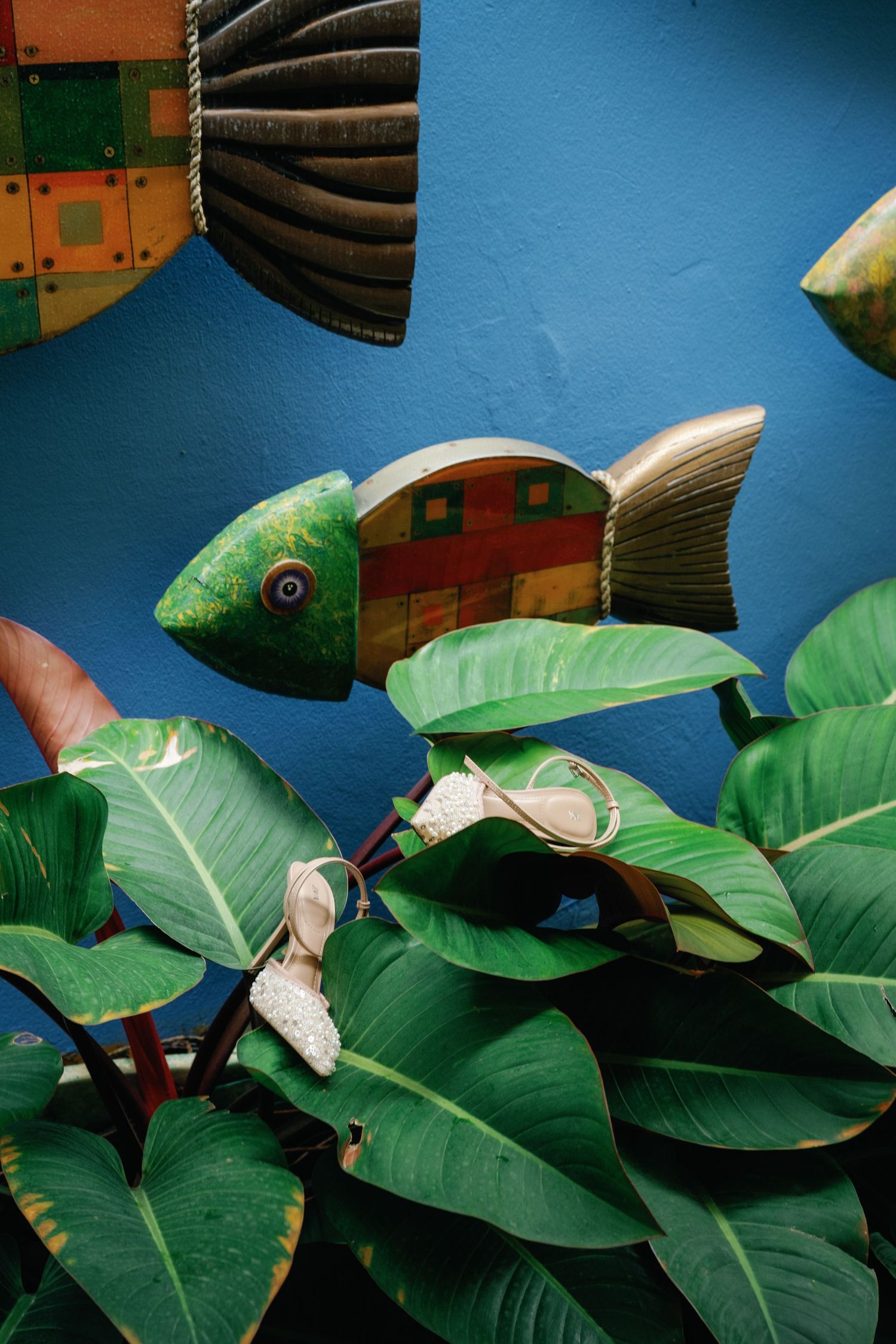 Colorful decorative fish sculpture mounted above lush green tropical leaves against a bright blue wall.