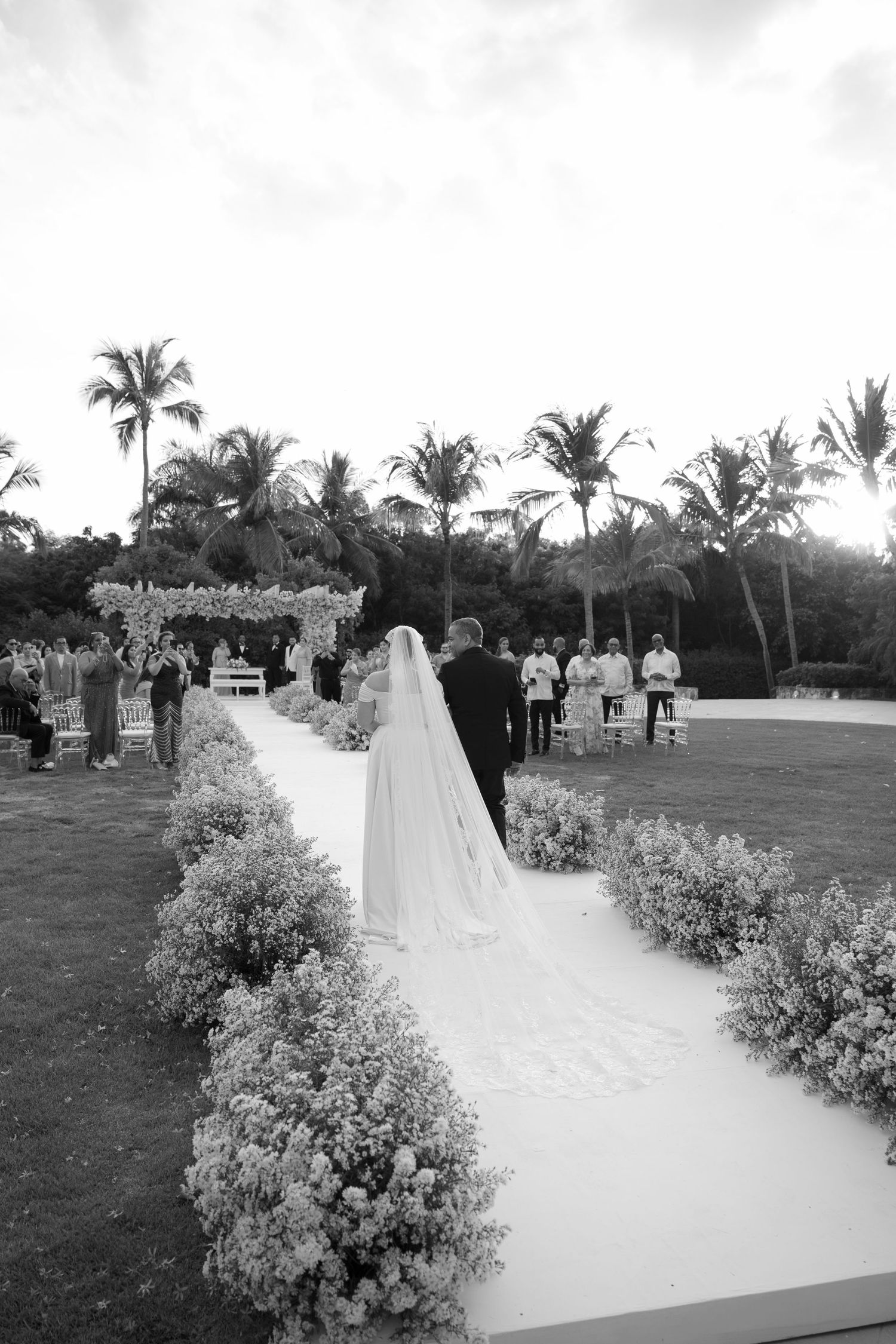 Black and white photograph showing a garden pathway lined with blooming flowers and palm trees in the background.