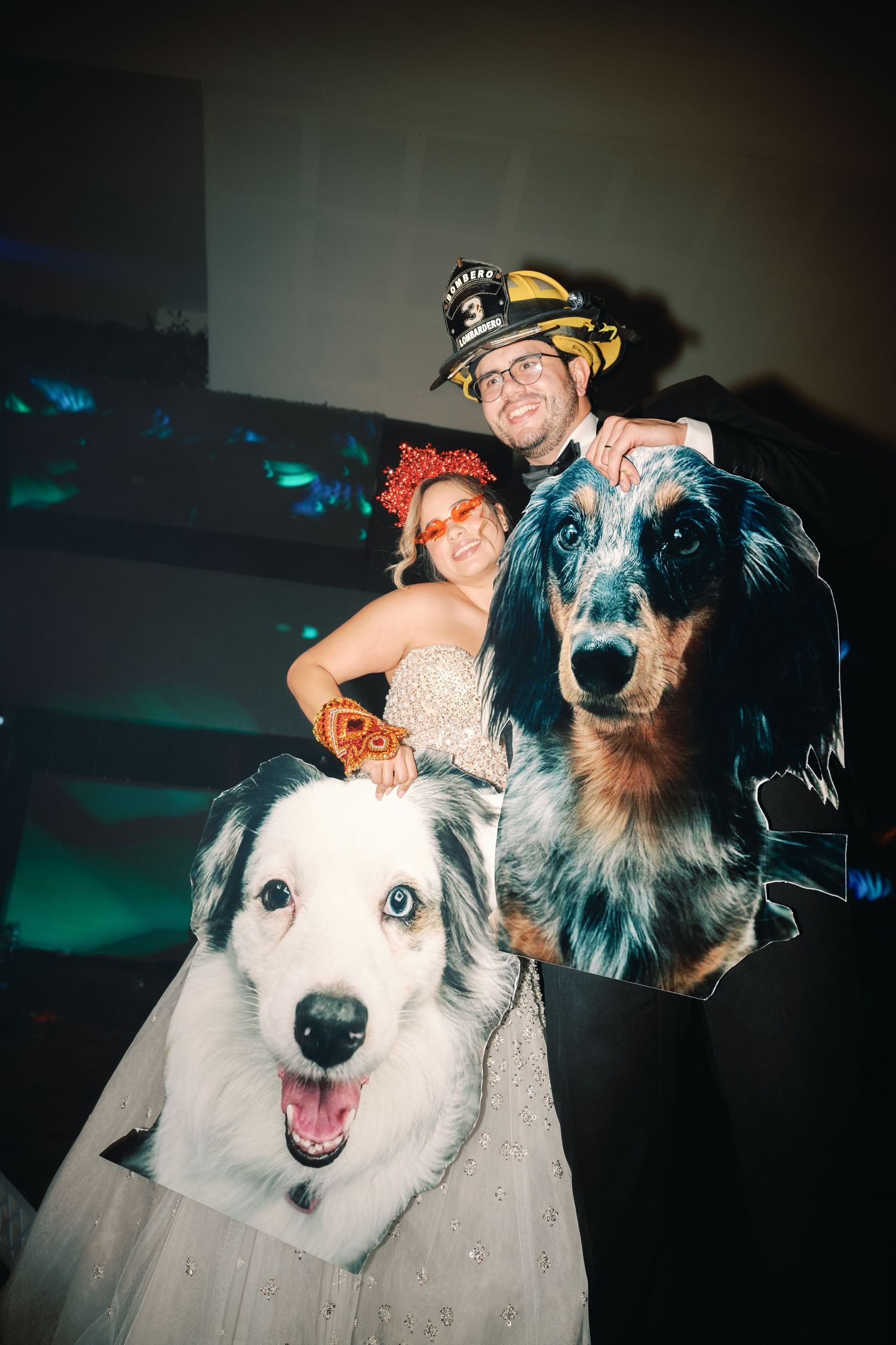 A group of happy dogs with black and white fur posing together in a dimly lit setting.