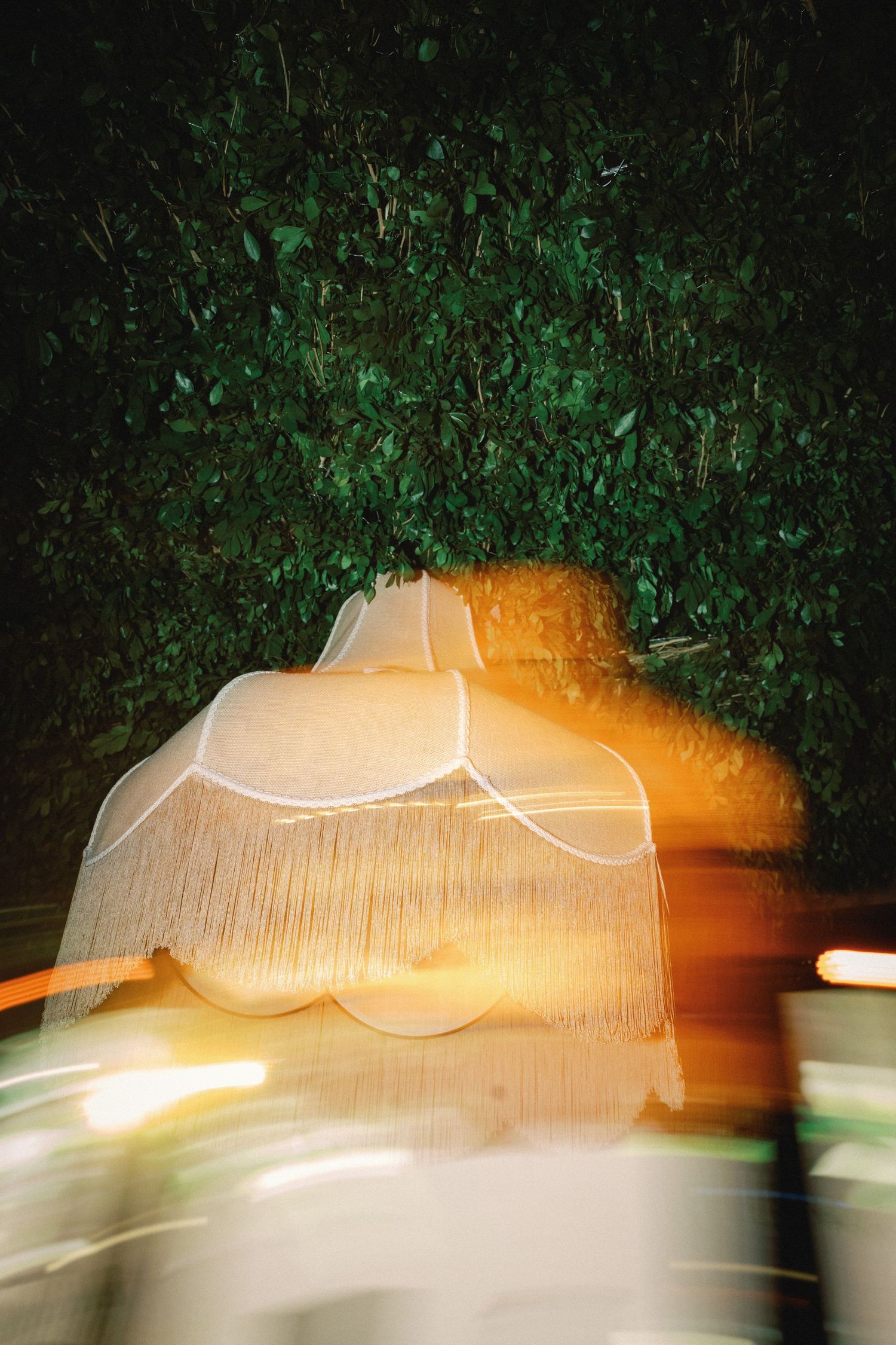 Long exposure photograph creates light trails and motion blur against dark foliage background.
