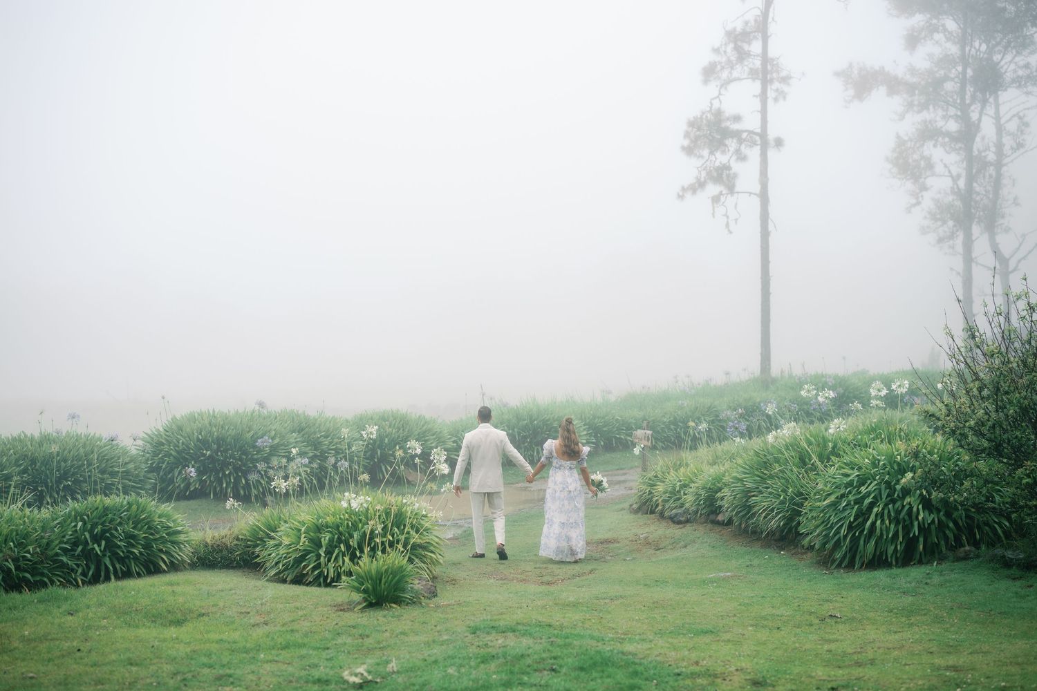 A foggy green garden path with people walking through lush vegetation and tall grasses on a misty morning.