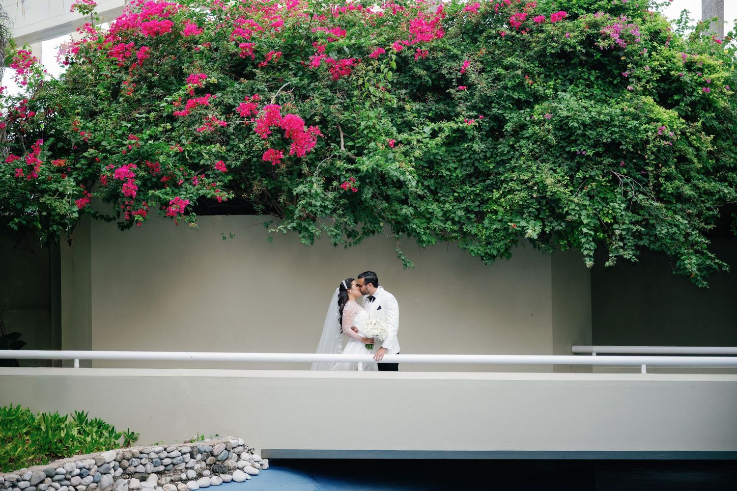 Lush garden wall with vibrant pink bougainvillea flowers creating a natural backdrop.