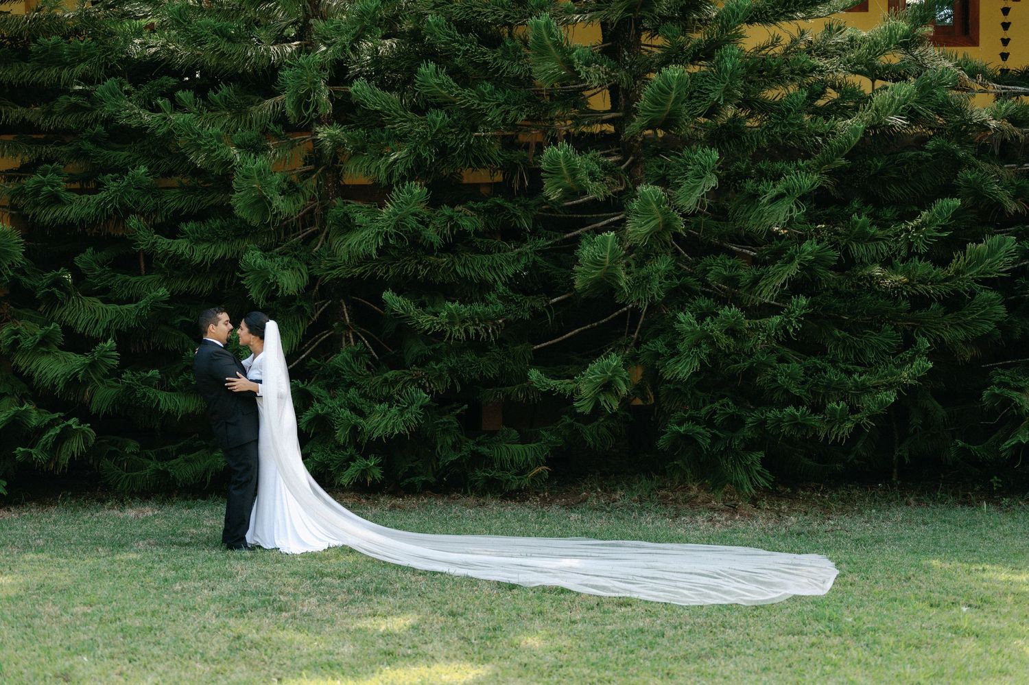 A couple in wedding attire embraces near tall evergreen trees, with the bride's long flowing veil trailing behind.