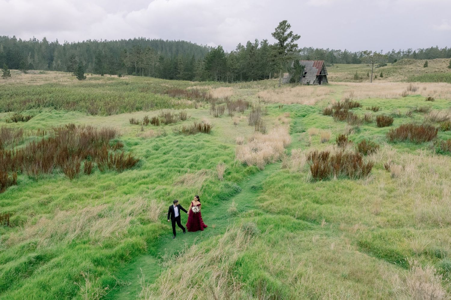 Rolling green hills with tall grass and scattered shrubs stretch across a pastoral landscape under cloudy skies.