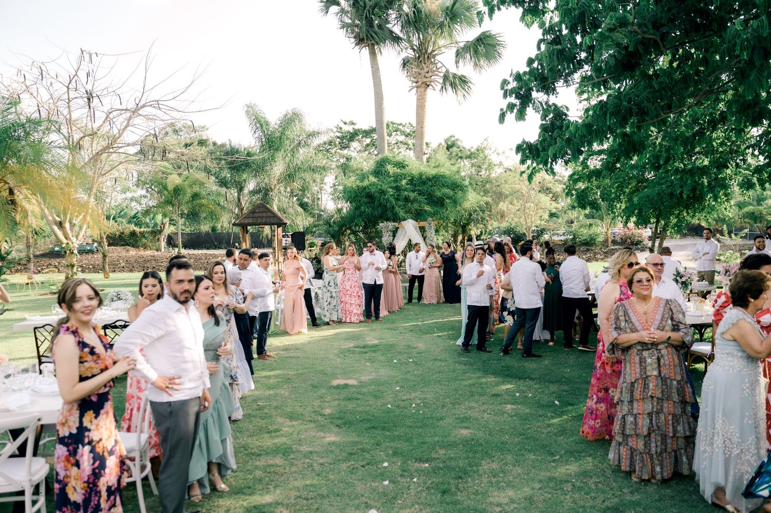 Wedding guests gather outdoors on a grassy lawn for a celebration under trees and natural lighting.