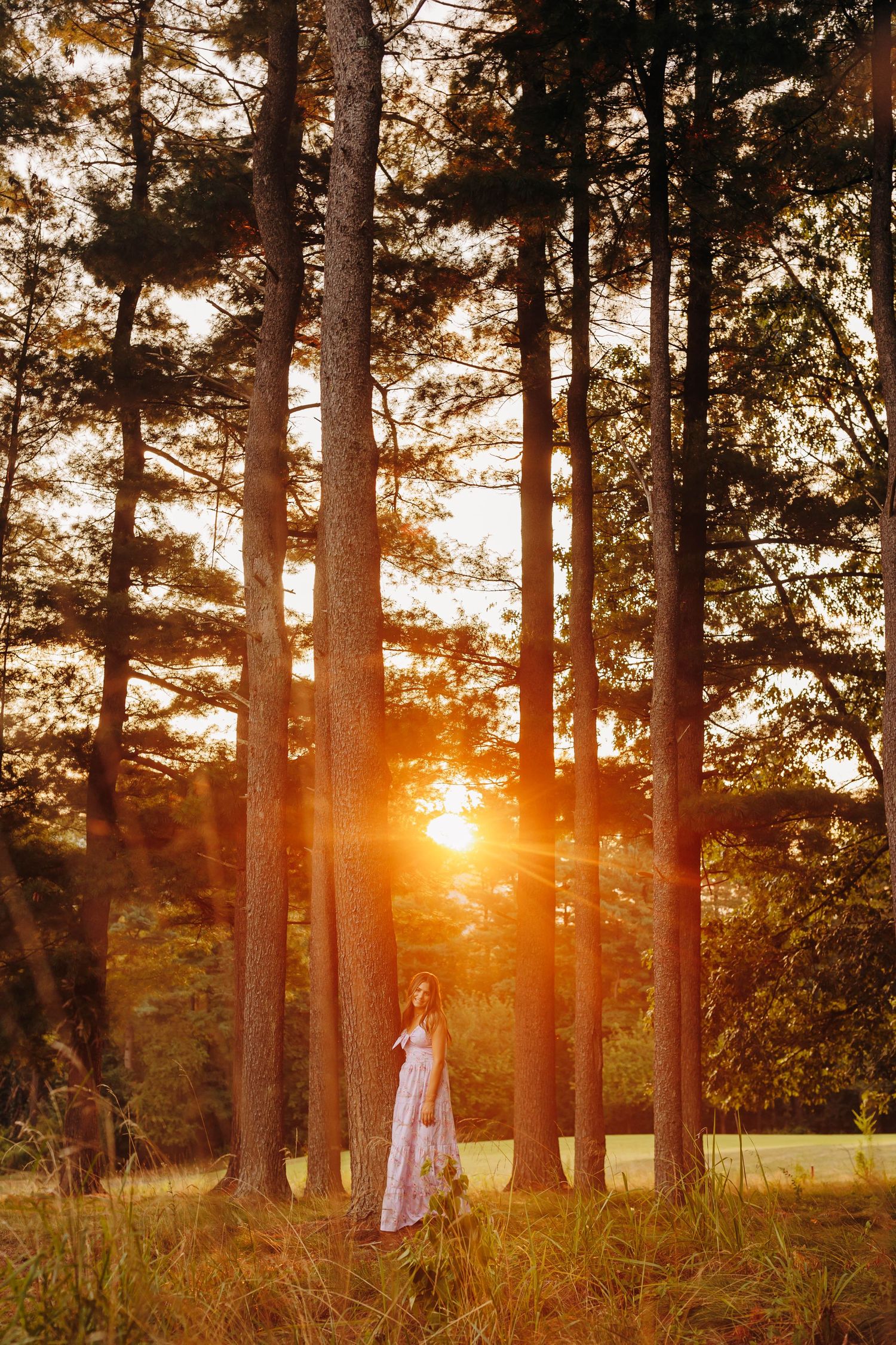 Silhouette against dramatic sunset through pine trees.