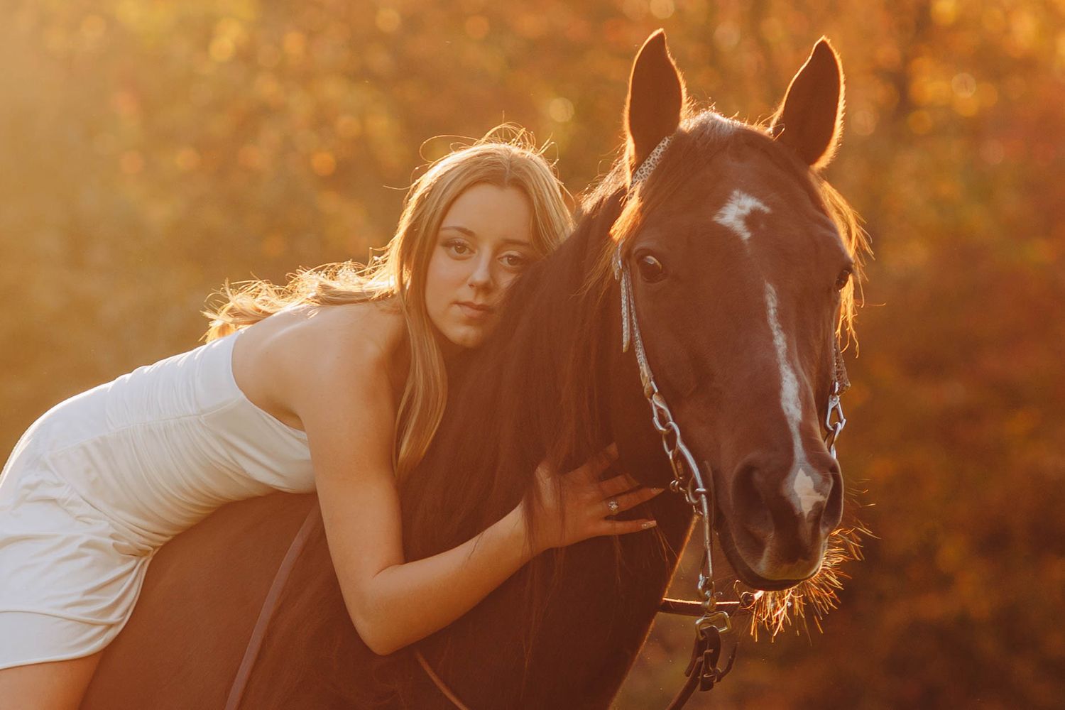 Close-up shots of person bonding with horse during sunset photo session.