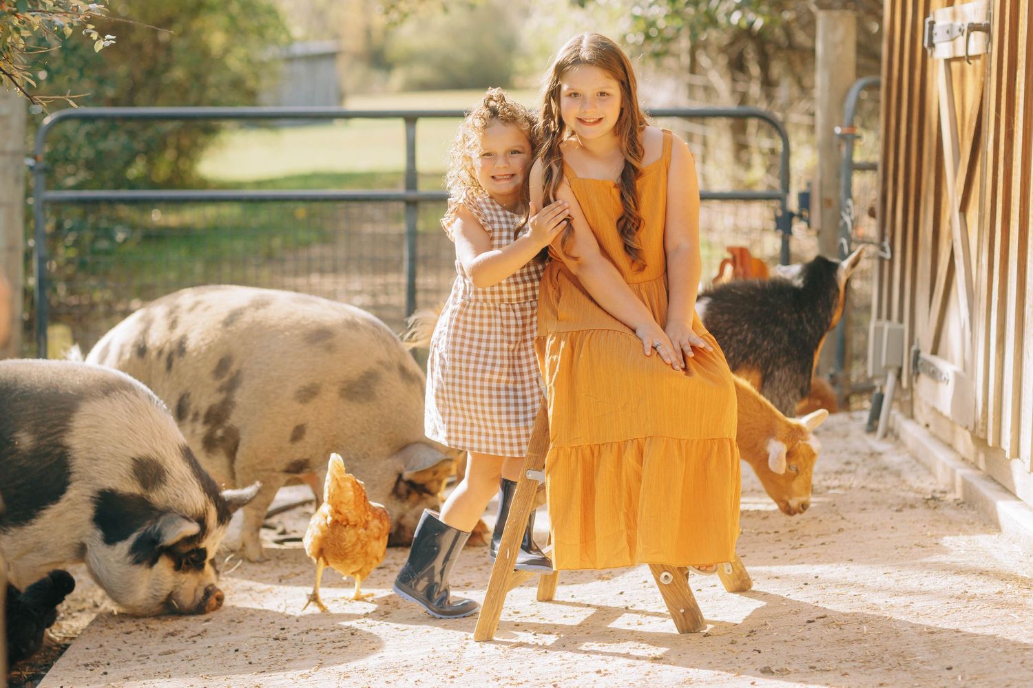 Family enjoying outdoor time together in golden sunlight on rustic porch.