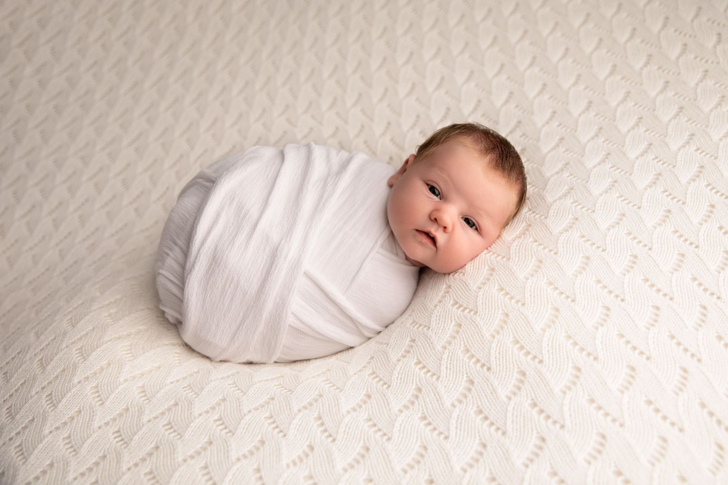 A series of minimalist newborn baby portraits on white background showing different sleeping positions and swaddle wraps.