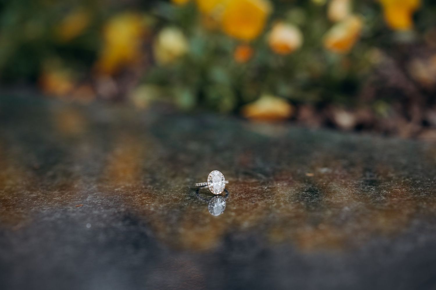 Close-up of a stunning oval diamond halo engagement ring resting on a reflective stone surface.