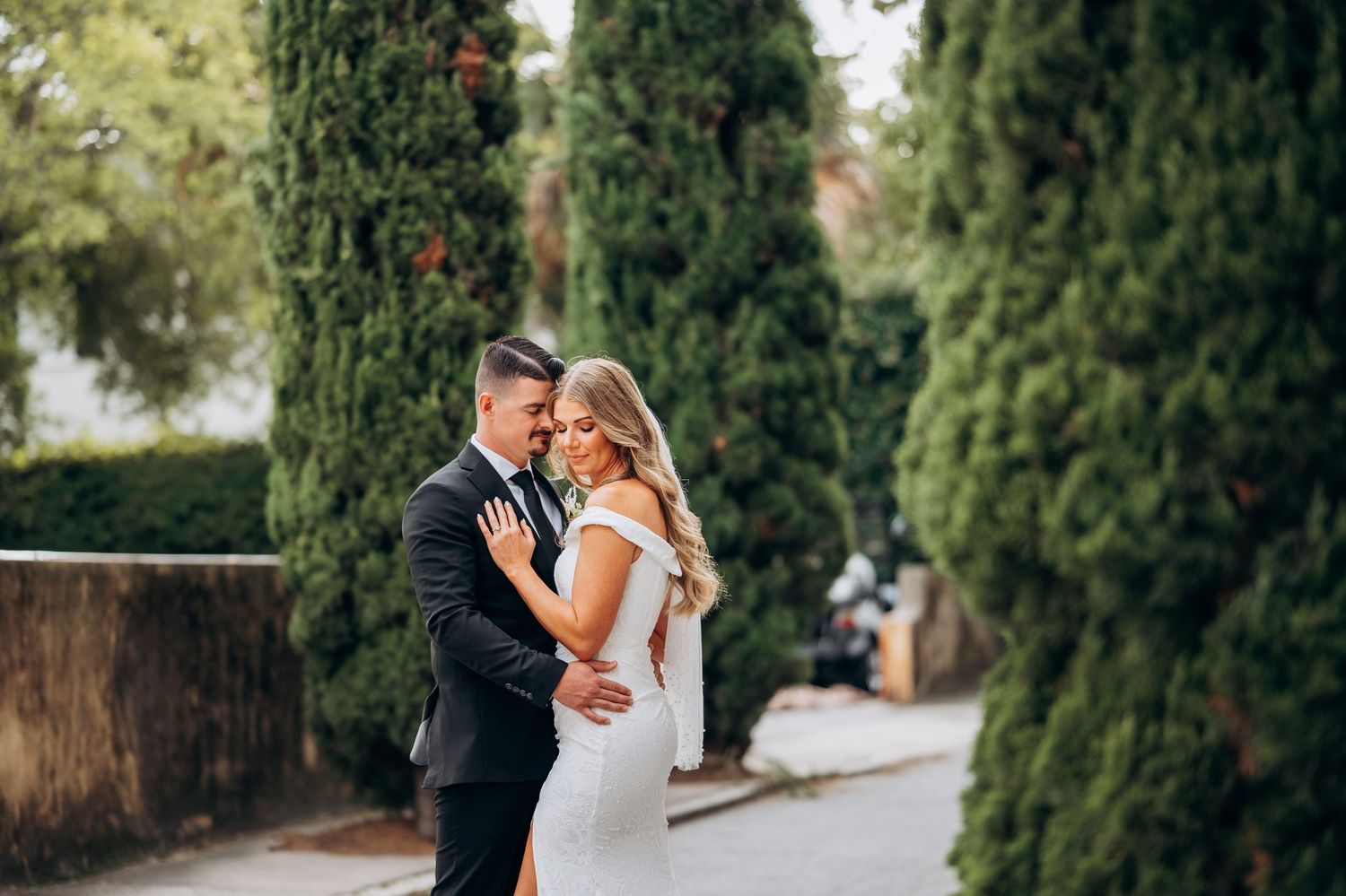 Bride and groom embracing romantically among tall cypress trees on wedding day.