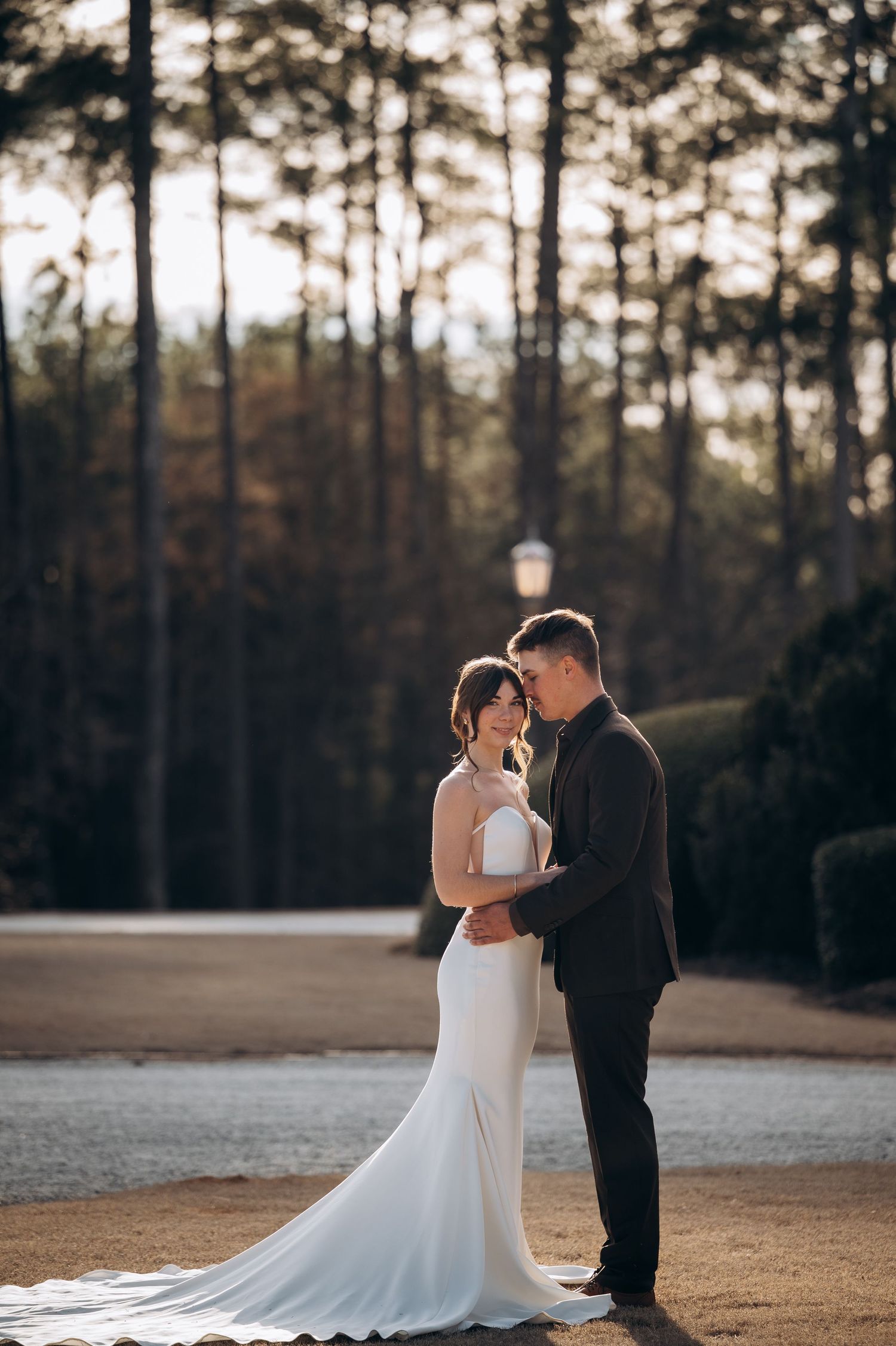 Couple embracing tenderly in golden sunlight with tall pine trees as backdrop at wedding venue.