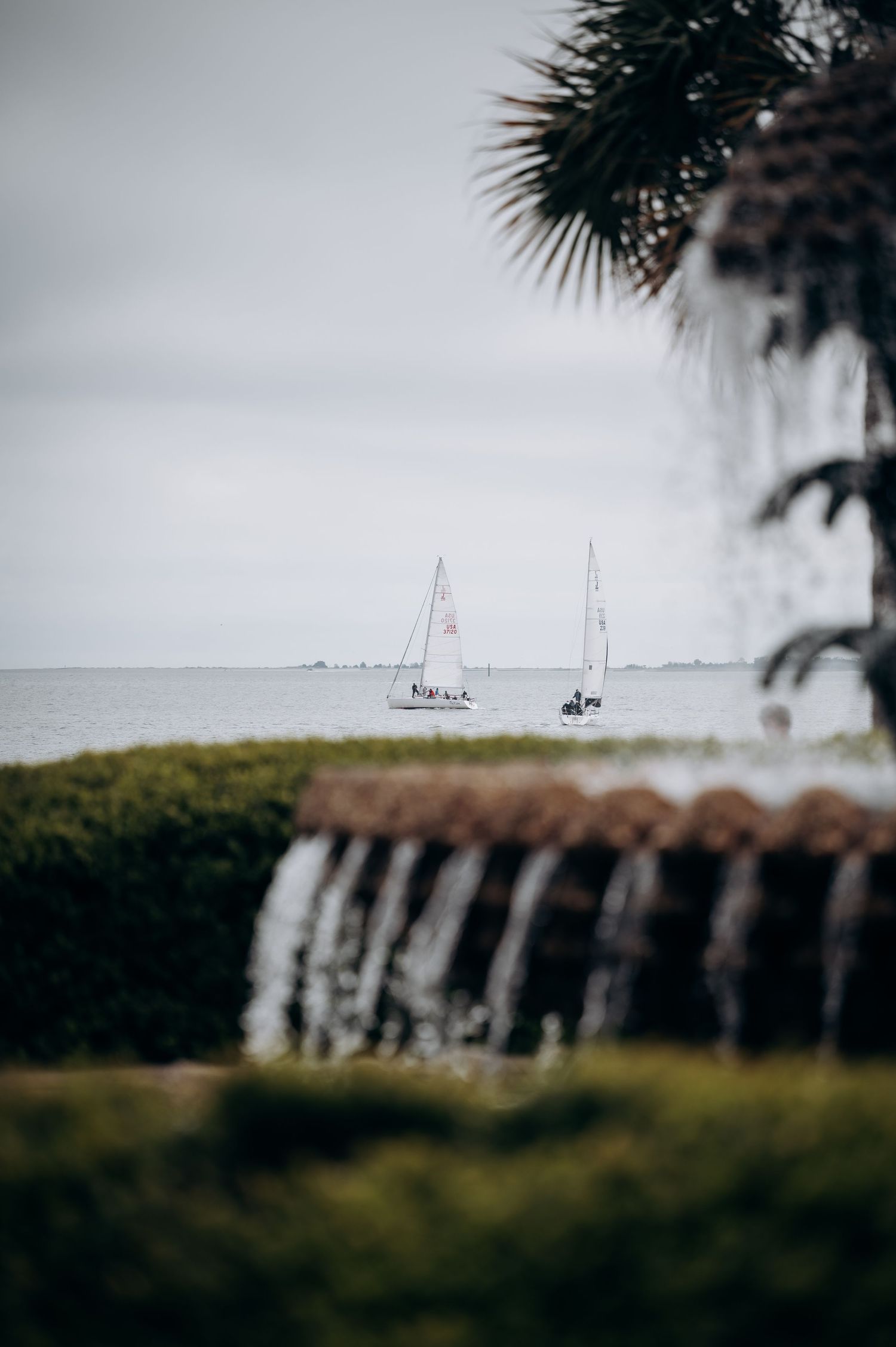 Sailboats on calm ocean waters viewed through a fountain and tropical palm trees on an overcast day.