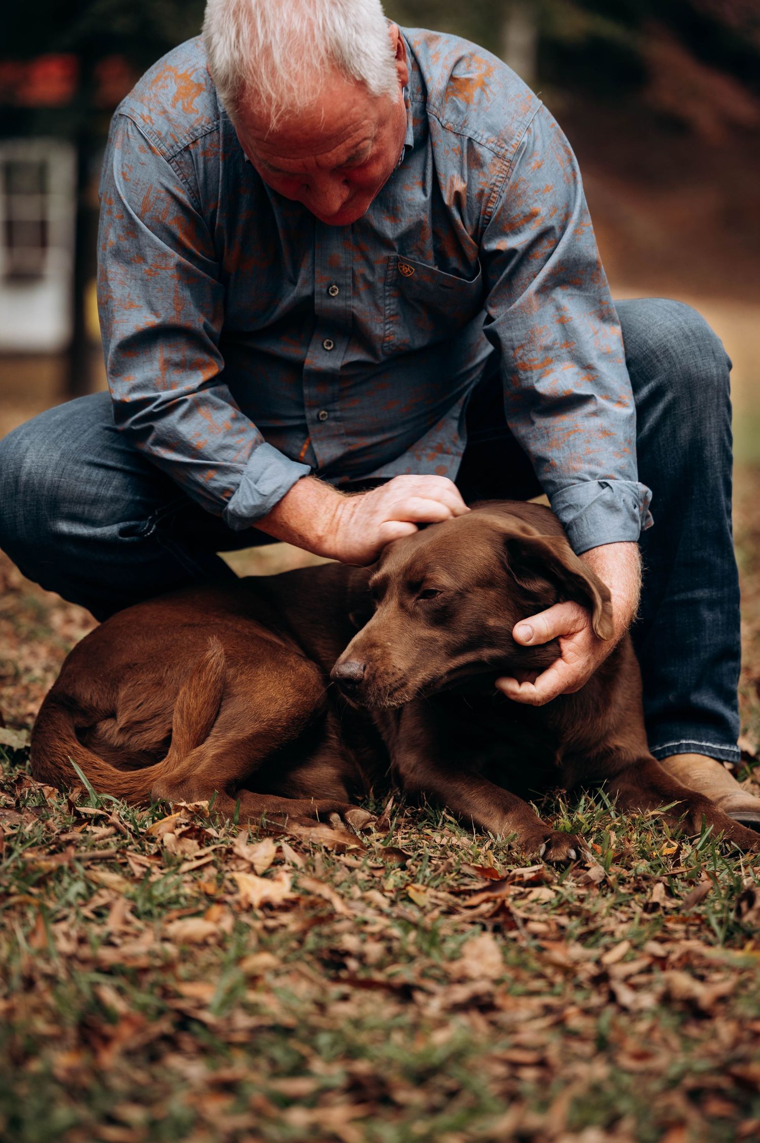 A person in work clothes gently pets a resting brown dog on fallen autumn leaves.