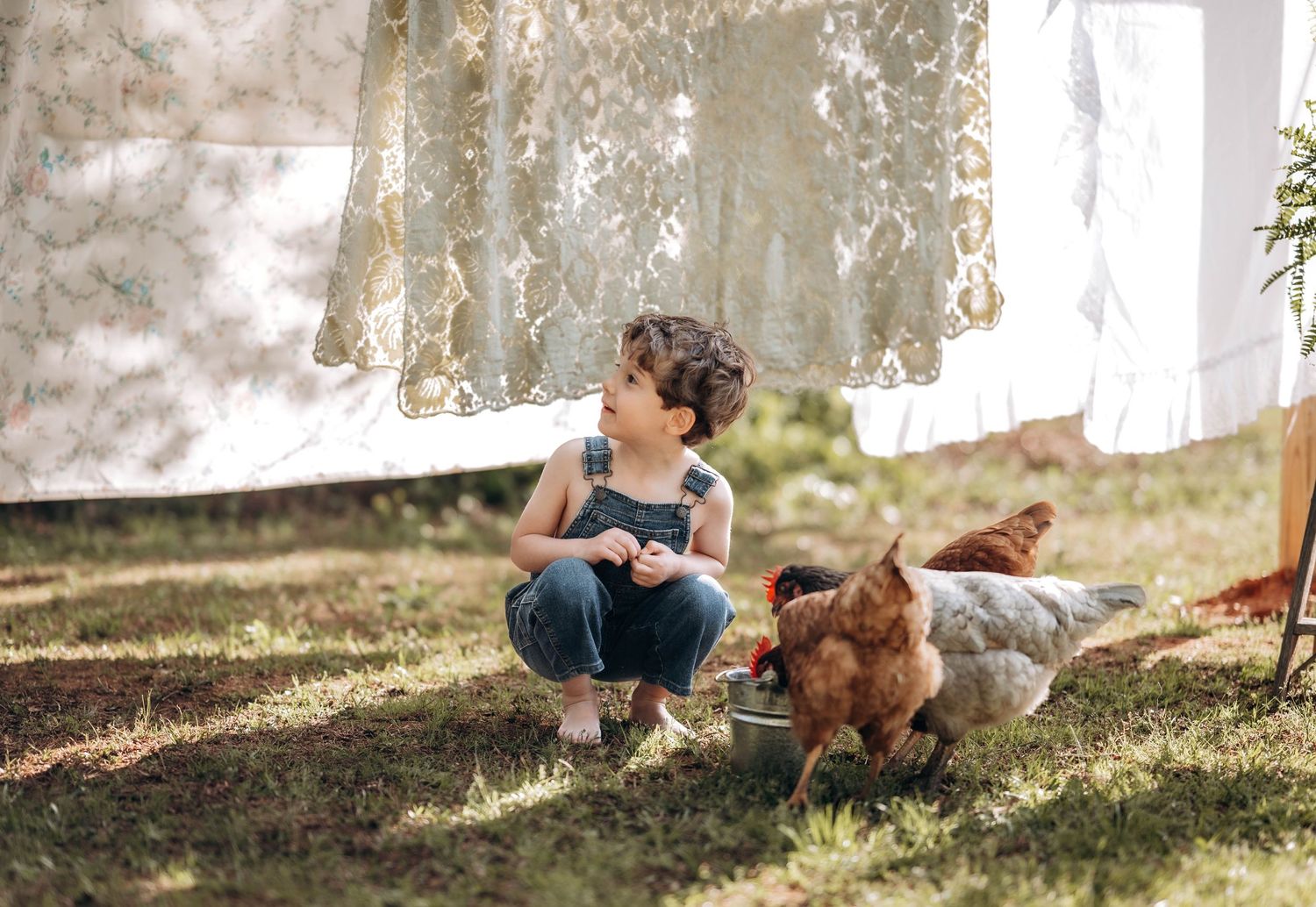 A collection of candid outdoor lifestyle photos showing people relaxing with a brown dog in a sunny garden setting.