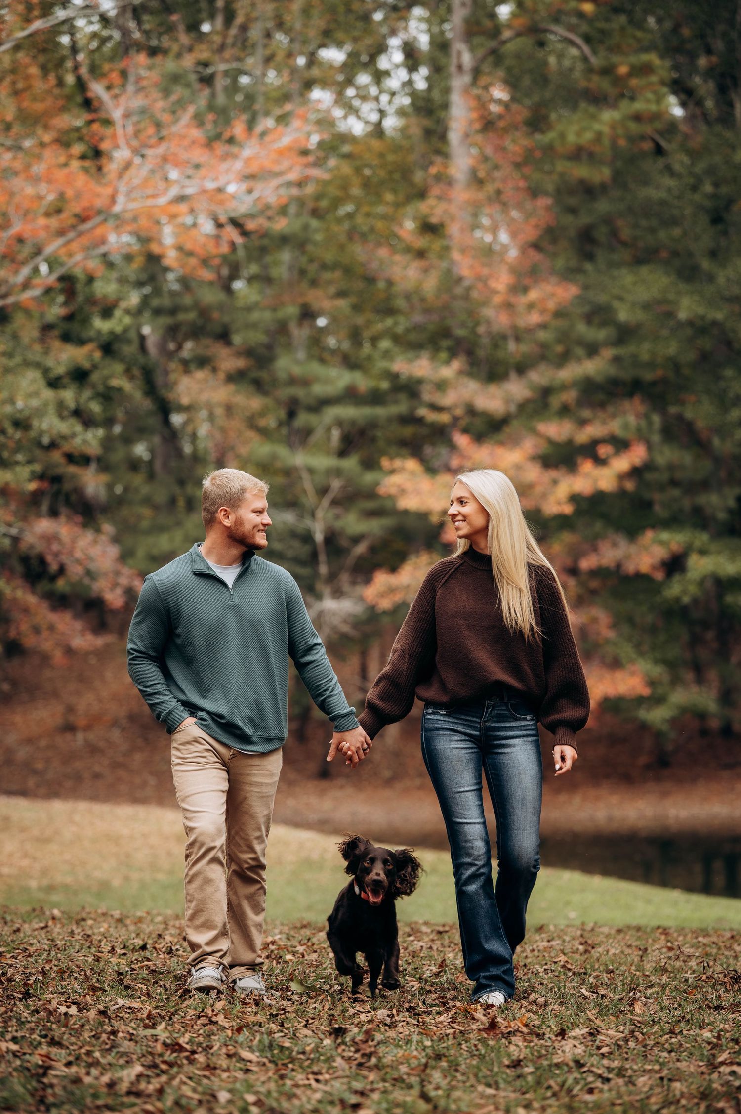 Couple walking with chocolate lab puppy through fallen autumn leaves in park.
