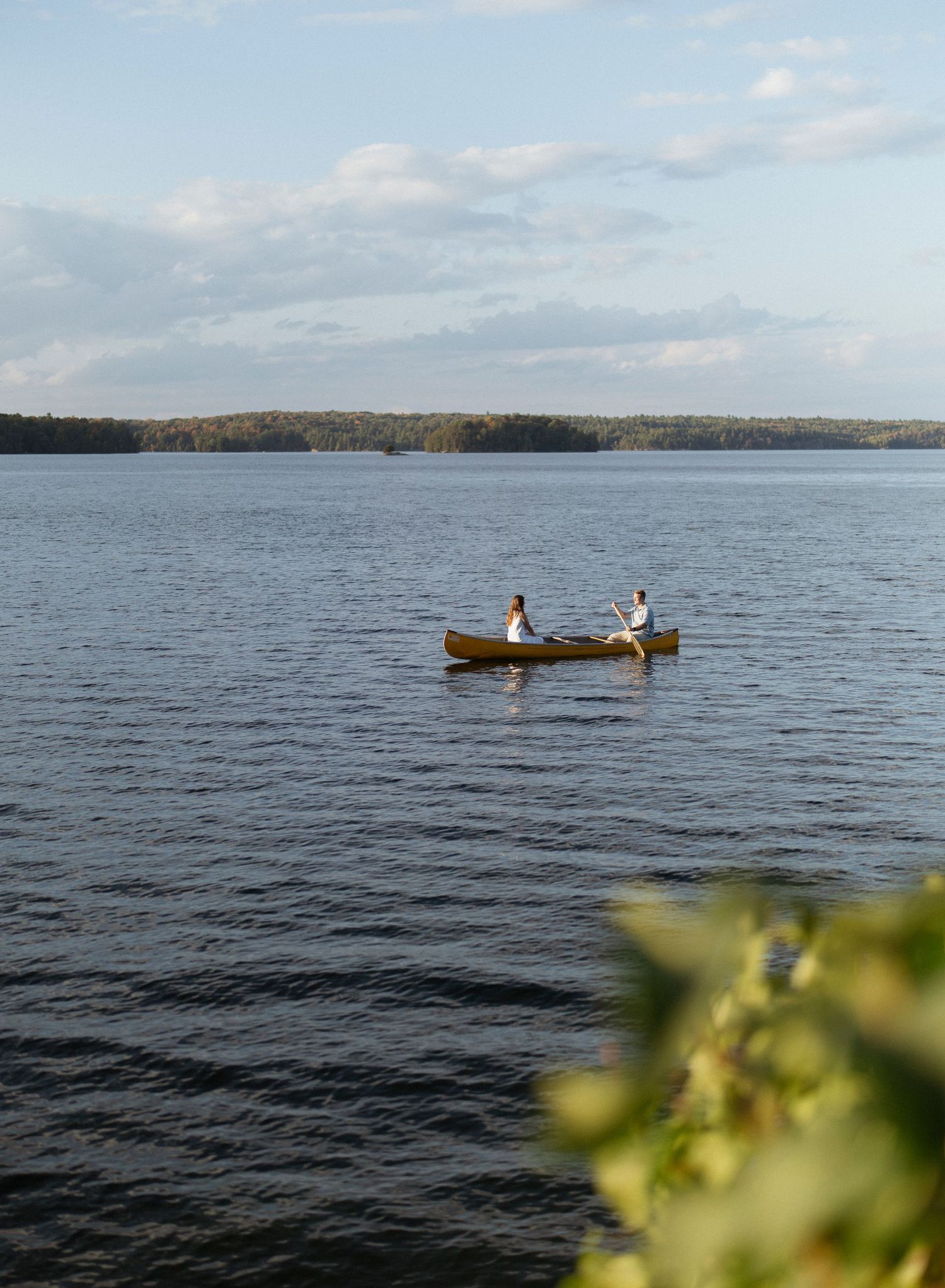 Couple's engagement photo.