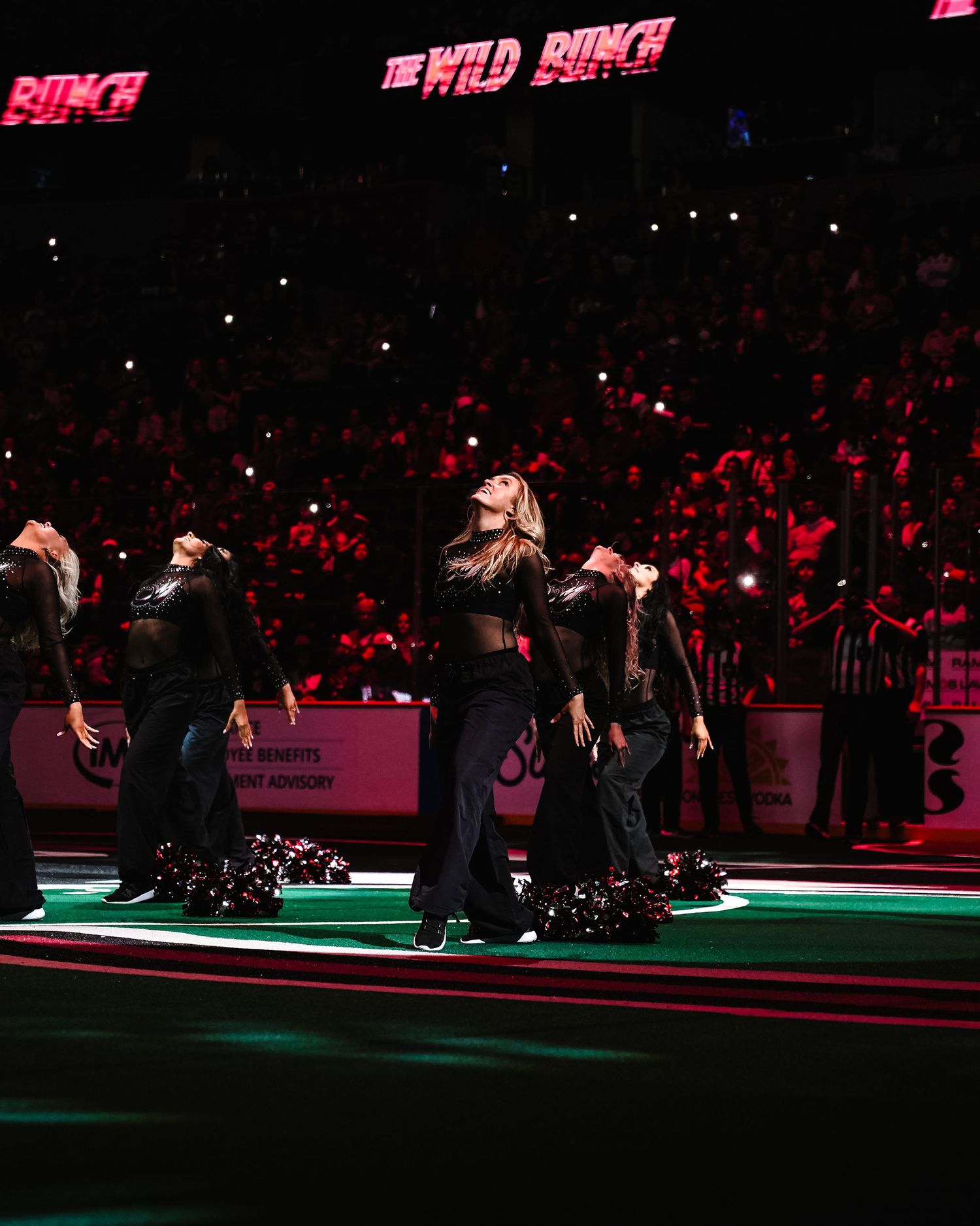 Cheerleader performing for a NLL game.