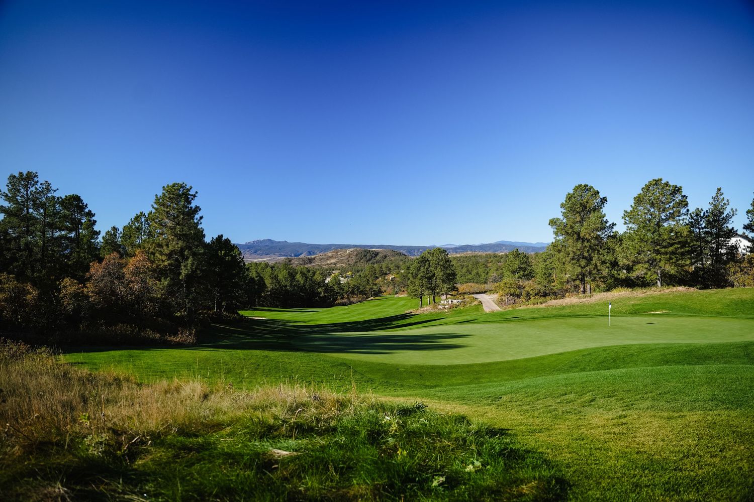 A sweeping view of a lush green golf course with trees and mountains in the background.
