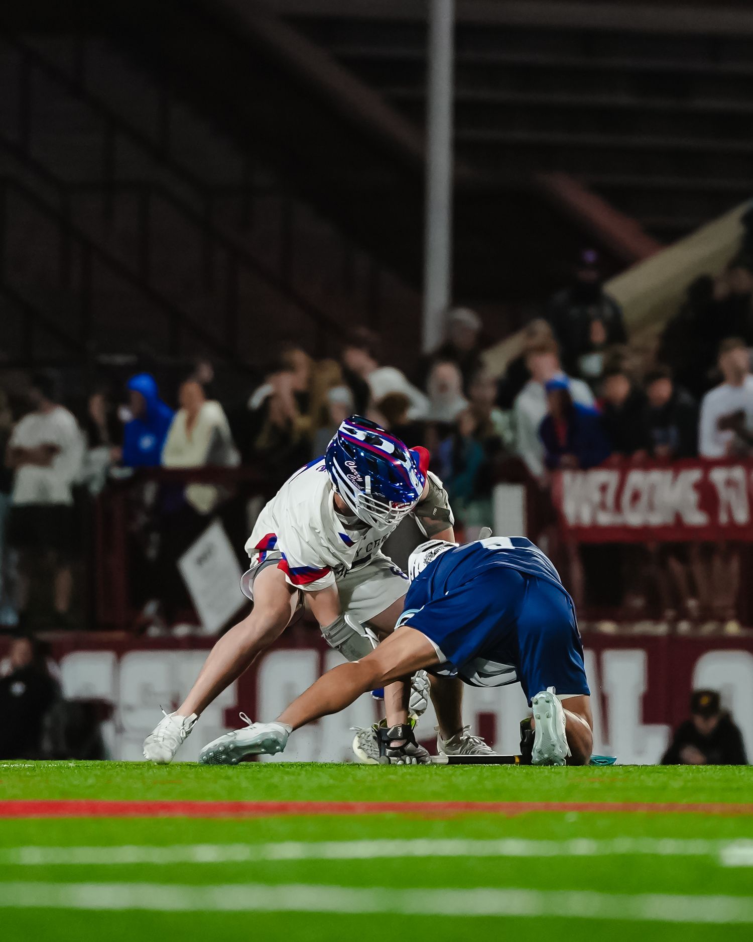 Lacrosse players faceoff.