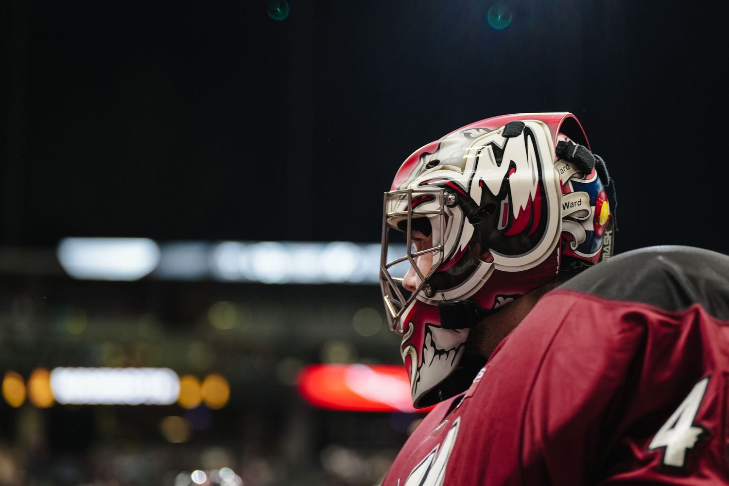 Lacrosse goalie.