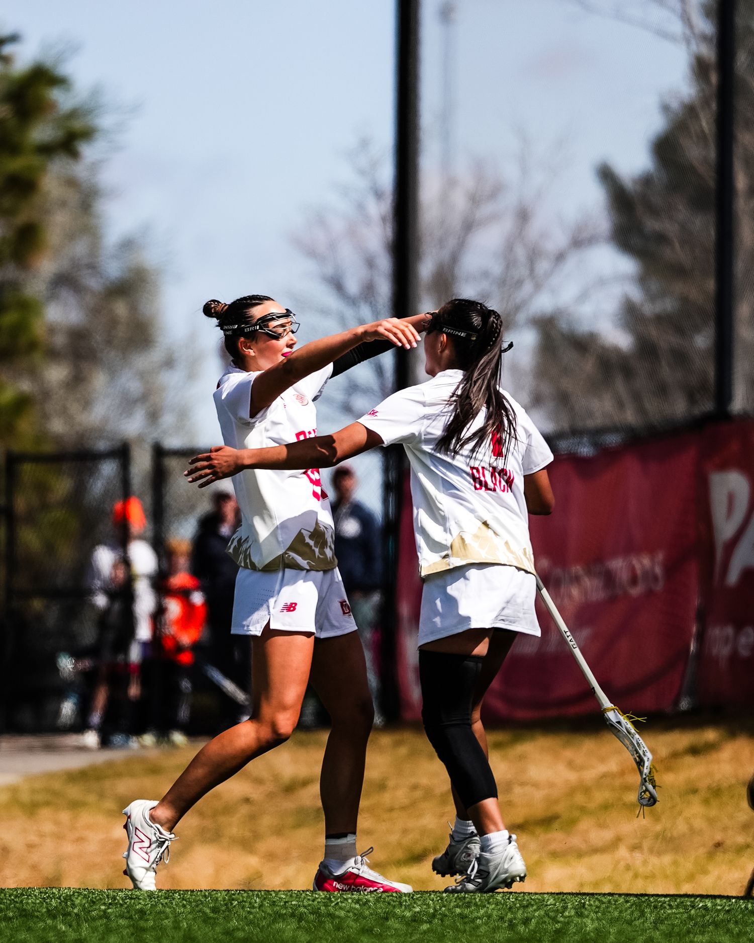 Lacrosse players celebrating a goal.