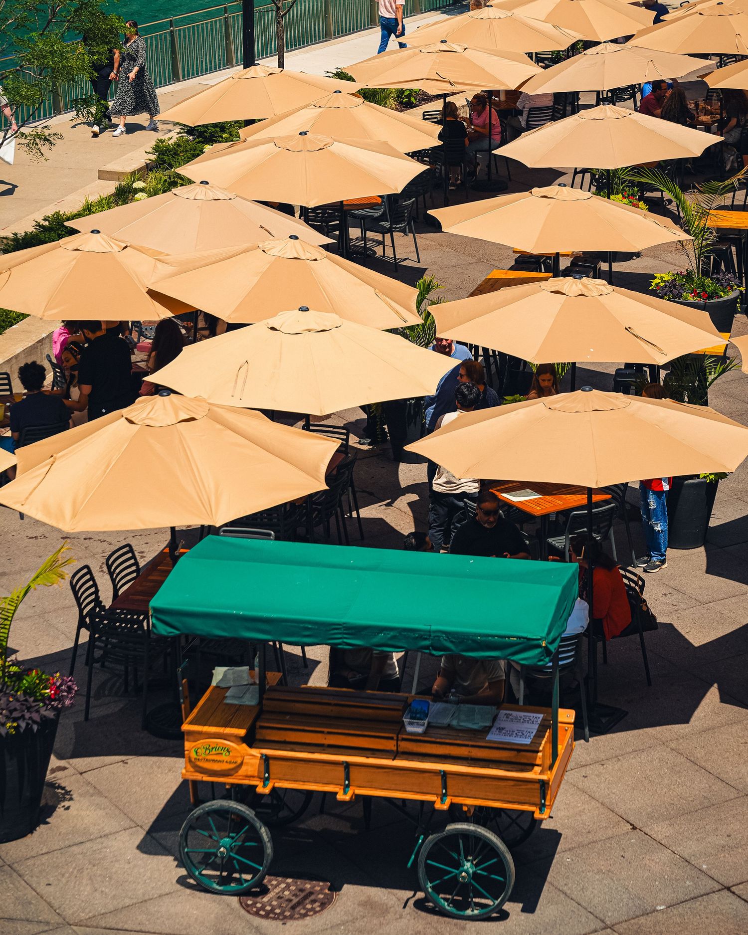 Aerial view of beige umbrellas covering an outdoor dining area.