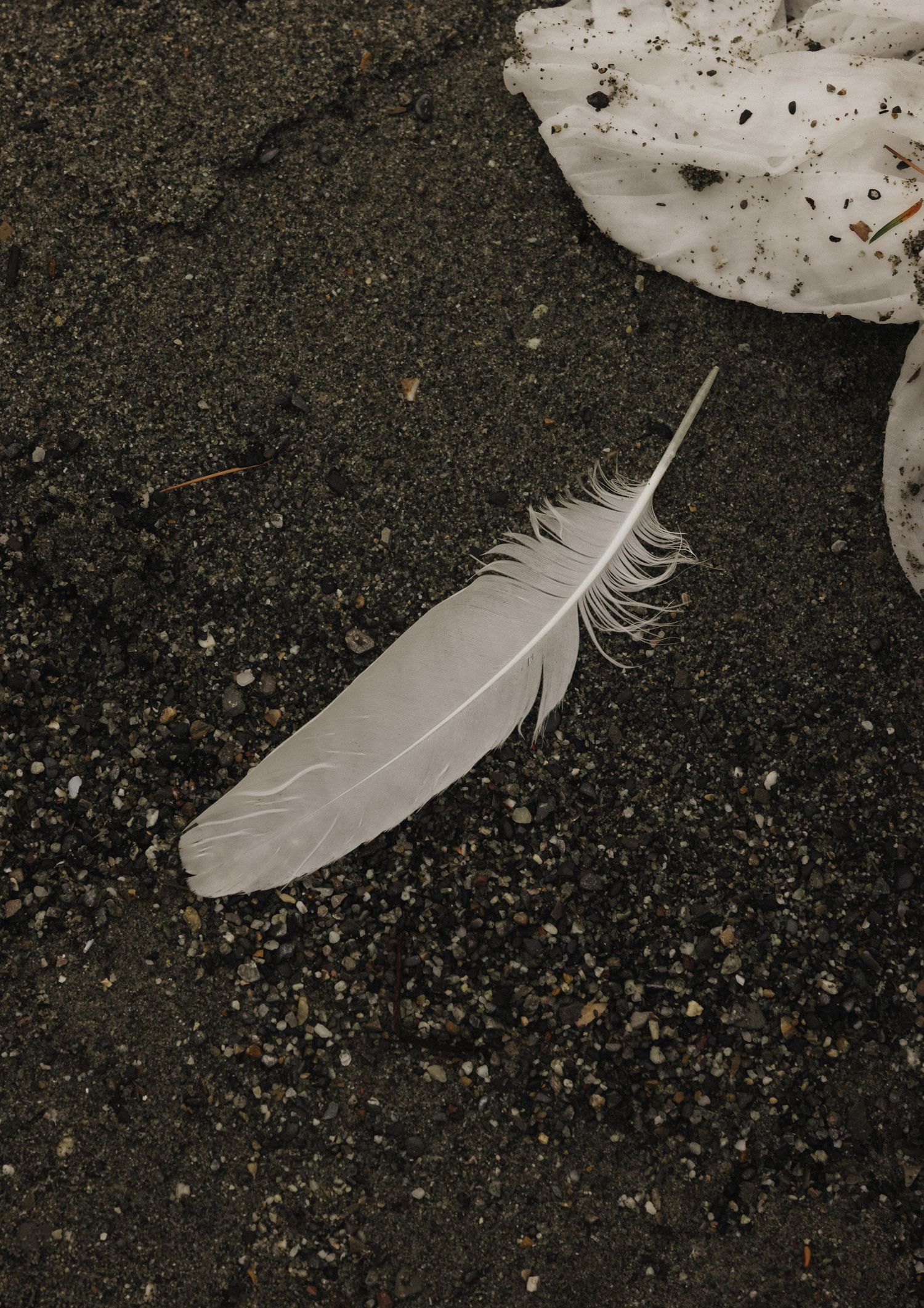 White feather resting on dark sandy ground with small pebbles and white fabric nearby.