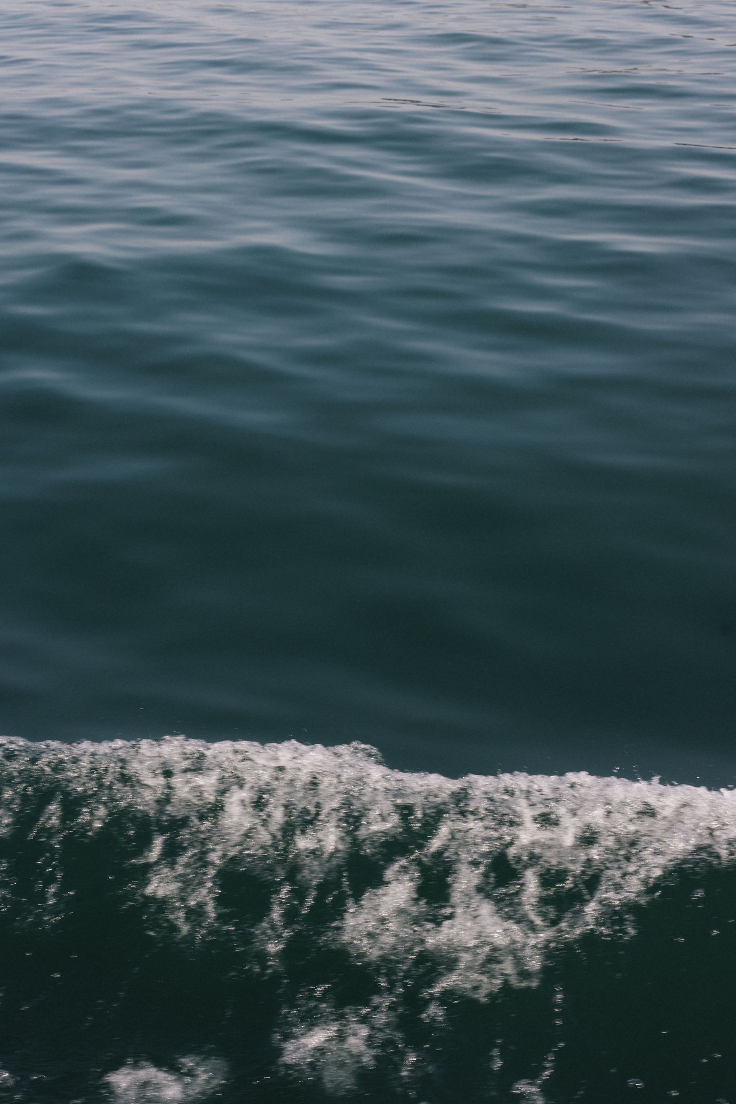 Dark teal ocean water with white foam wake from boat on calm sea surface.