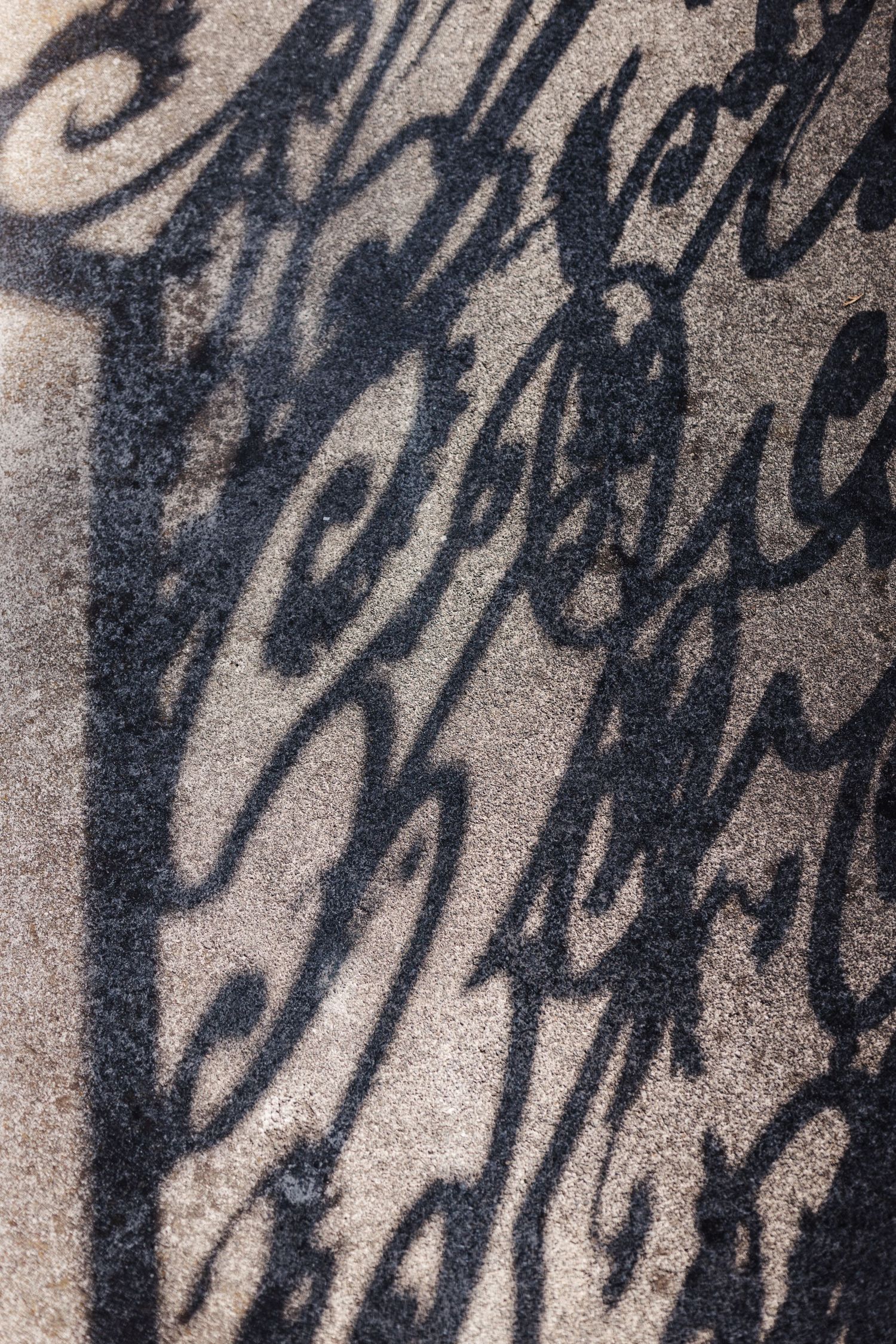 Intricate cursive script shadow pattern cast on textured stone surface in sunlight.