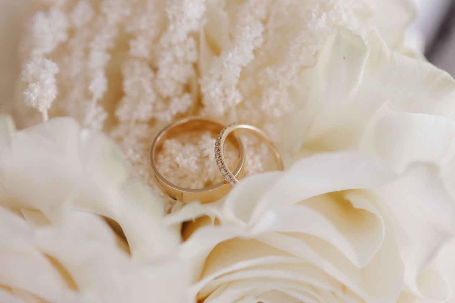 Two gold wedding rings resting on white roses and delicate white floral accents.