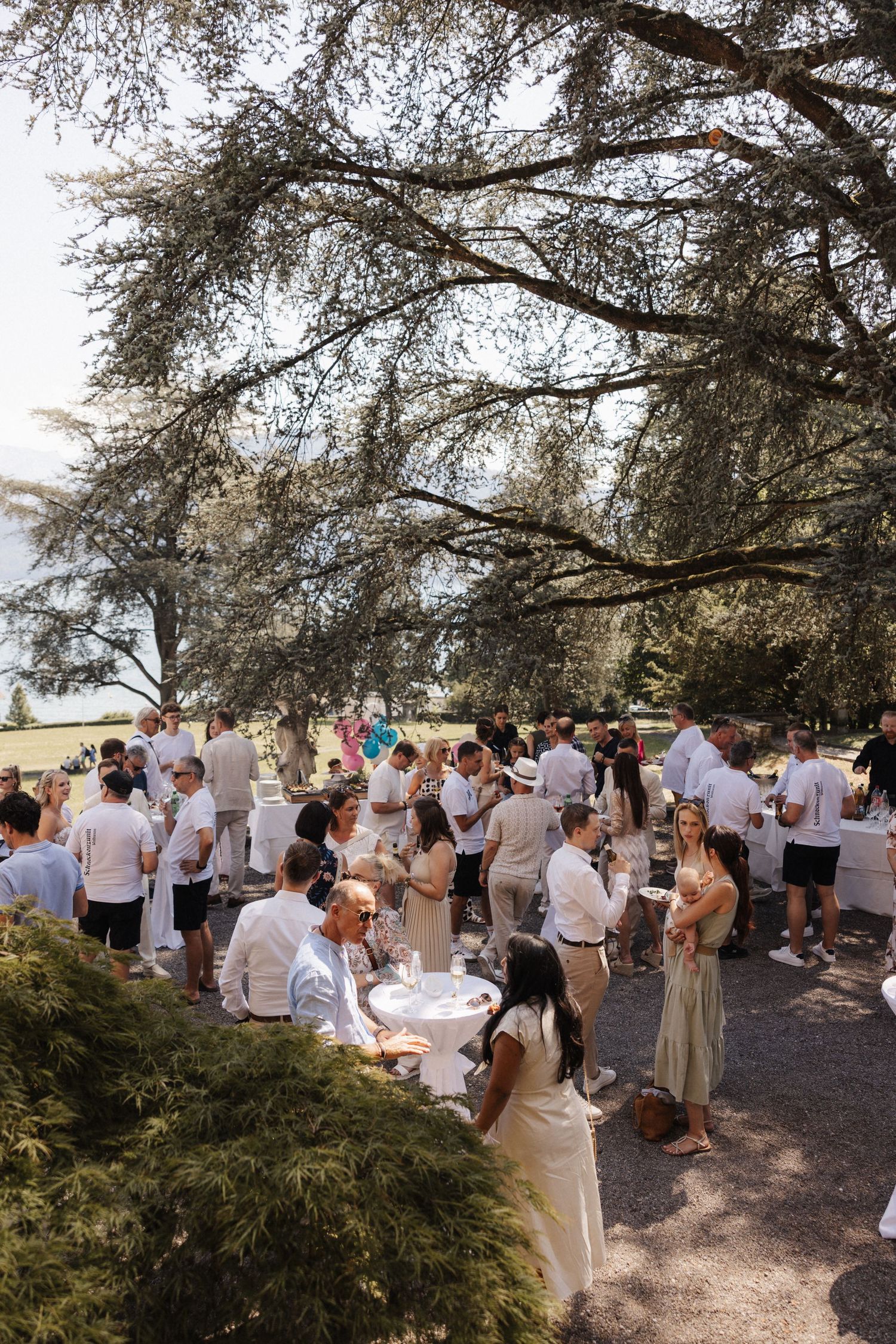 Wedding guests mingling under large trees at an outdoor garden reception on a sunny day.
