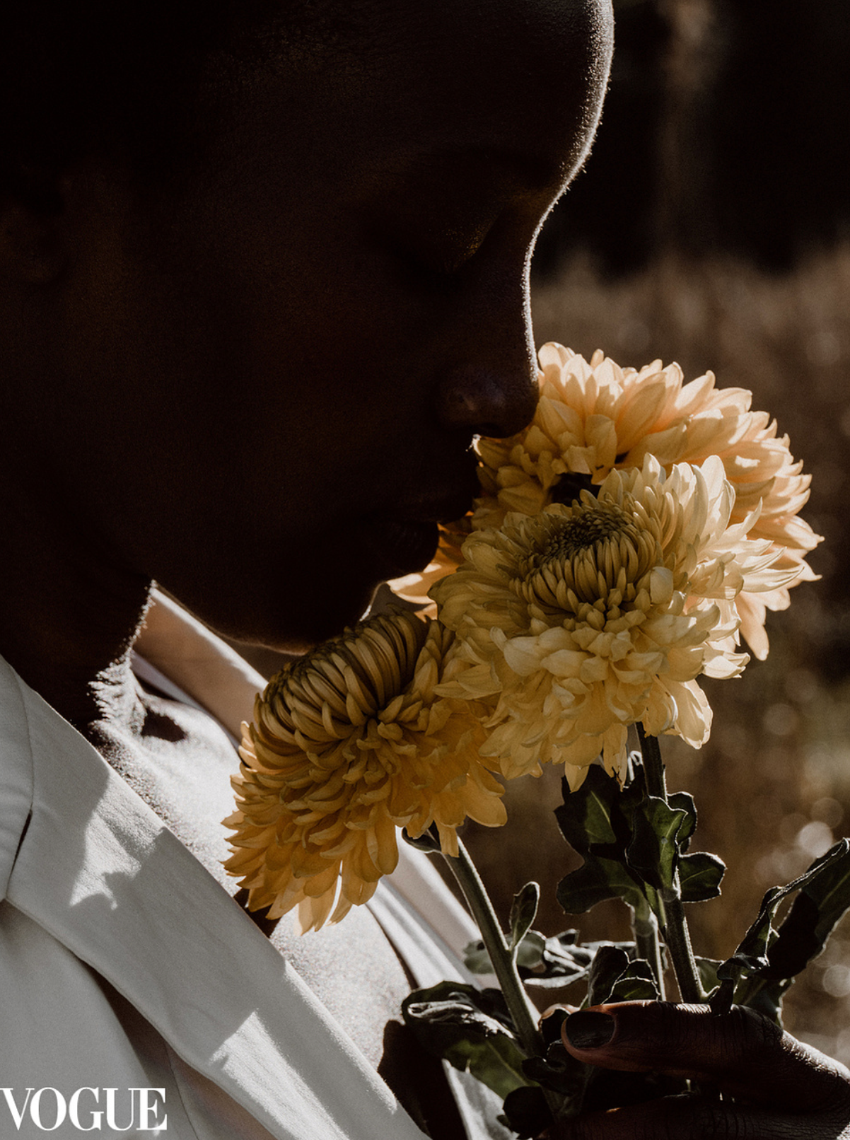 Close-up Vogue portrait of person smelling golden chrysanthemum flowers in dramatic shadow lighting.