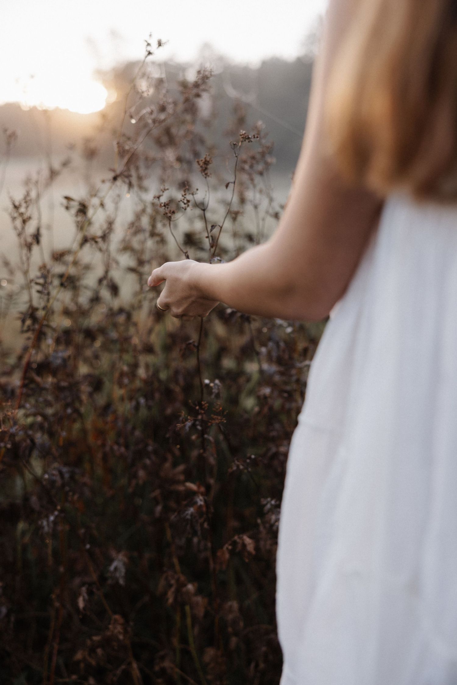 Close-up of a woman in white dress gently touching dried wildflowers in a field at golden hour.