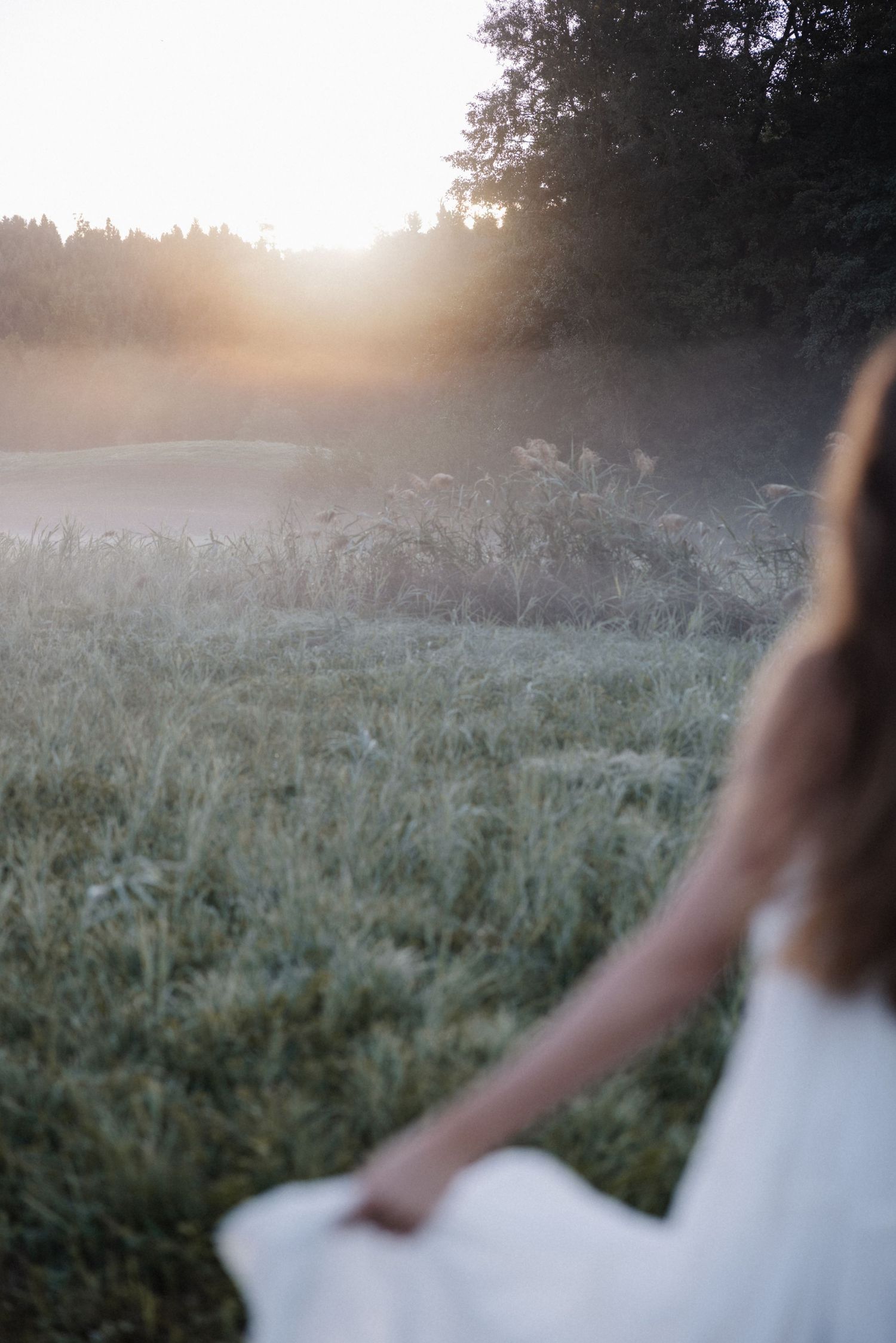 Woman in white dress walking toward a misty sunlit meadow surrounded by trees at dawn.