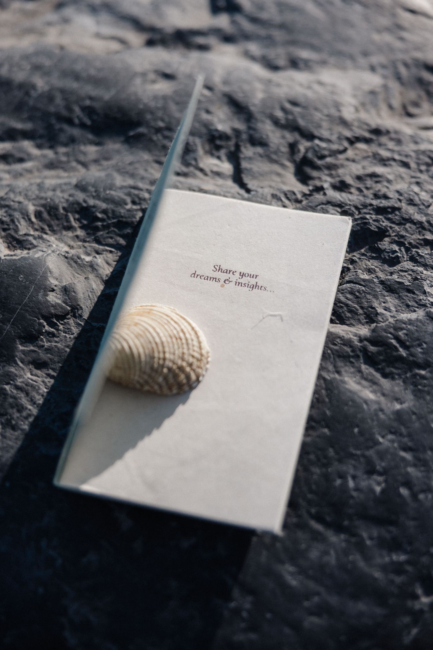 A journal with 'Share your dreams & insights' text rests on dark rocks beside a seashell in soft natural light.