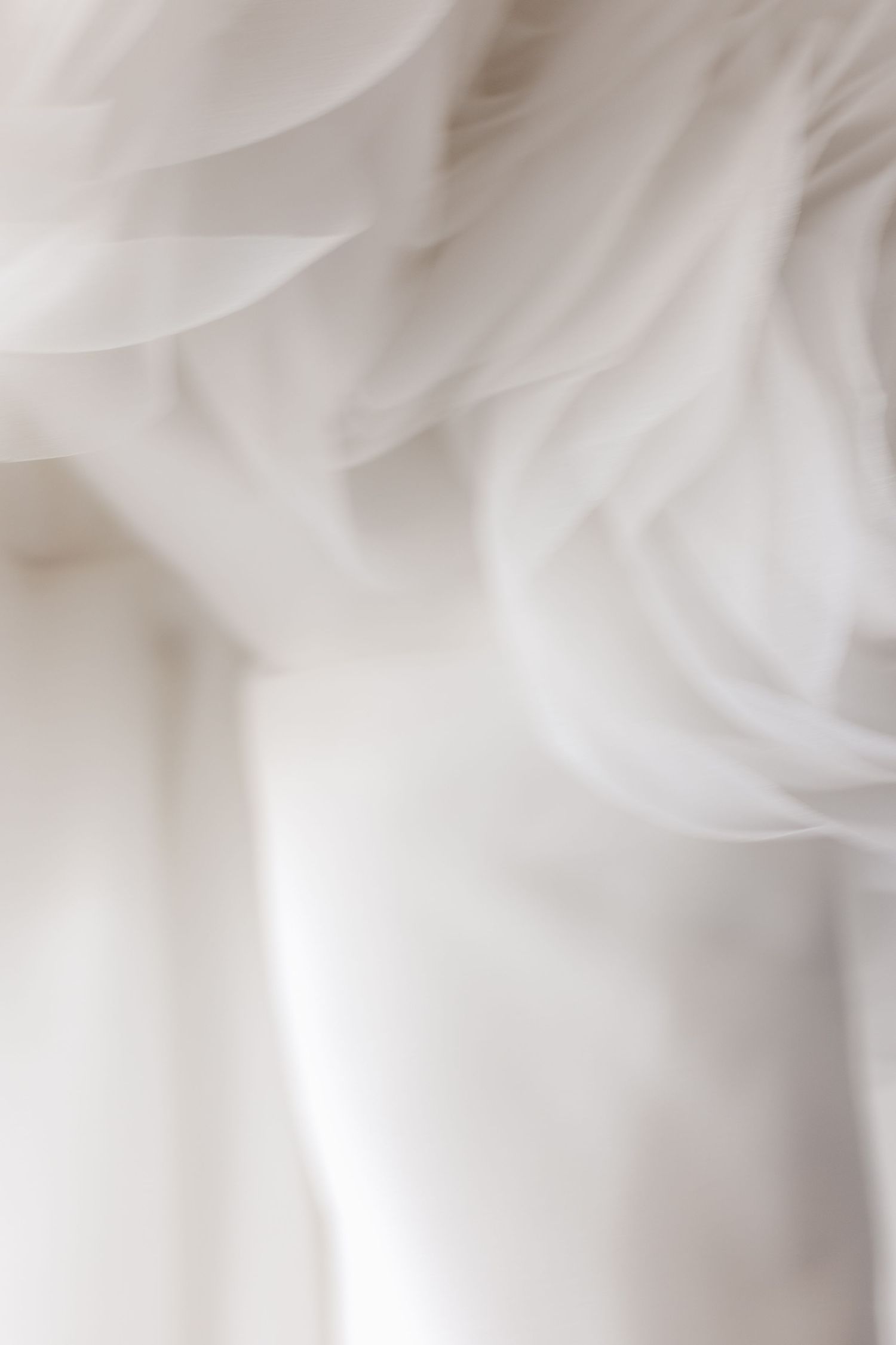 Soft abstract close-up of white bridal gown tulle fabric with delicate ruffled rose details.