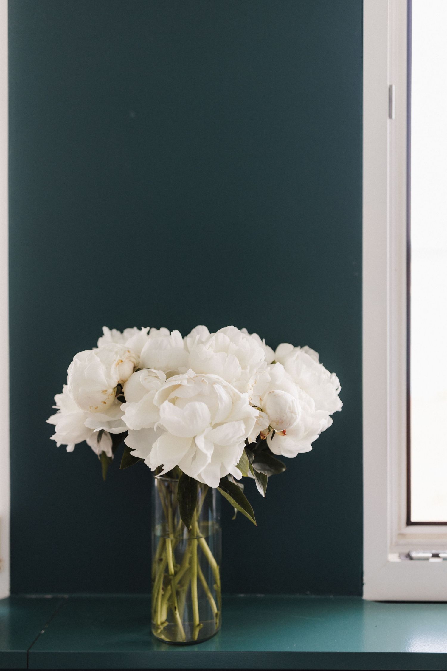 Bouquet of white peonies in a glass vase on a teal shelf near a window.