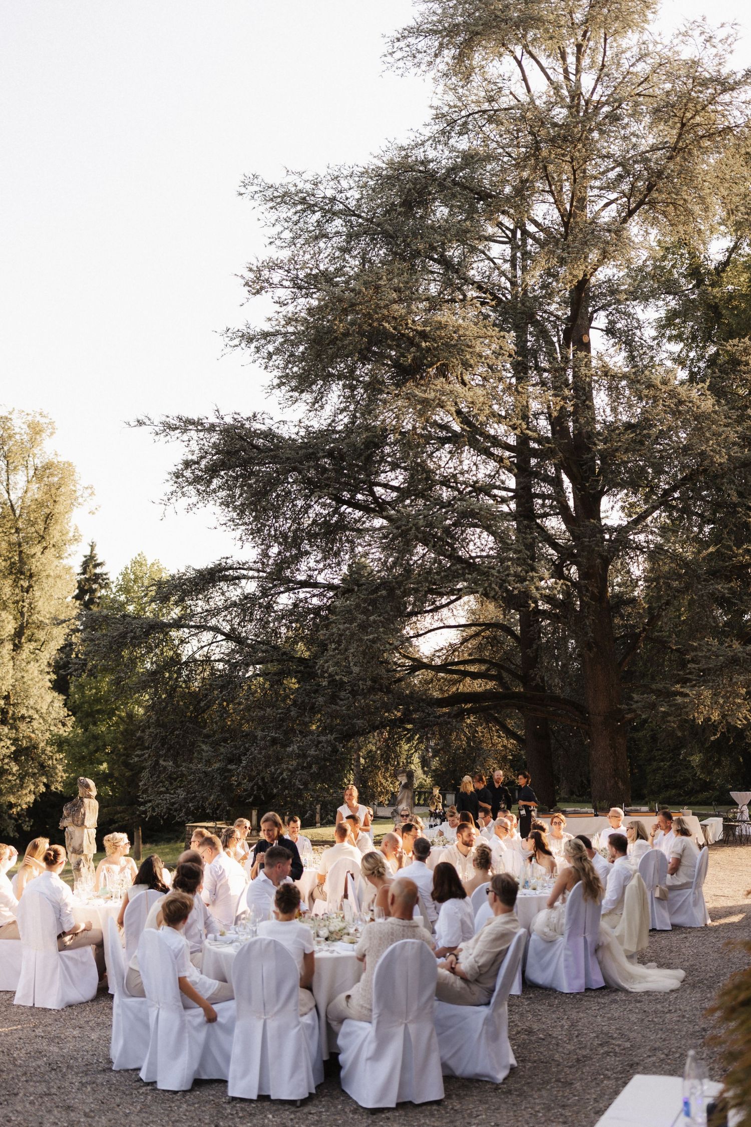 Elegant outdoor wedding reception with guests in white attire seated at round tables beneath large trees at golden hour.