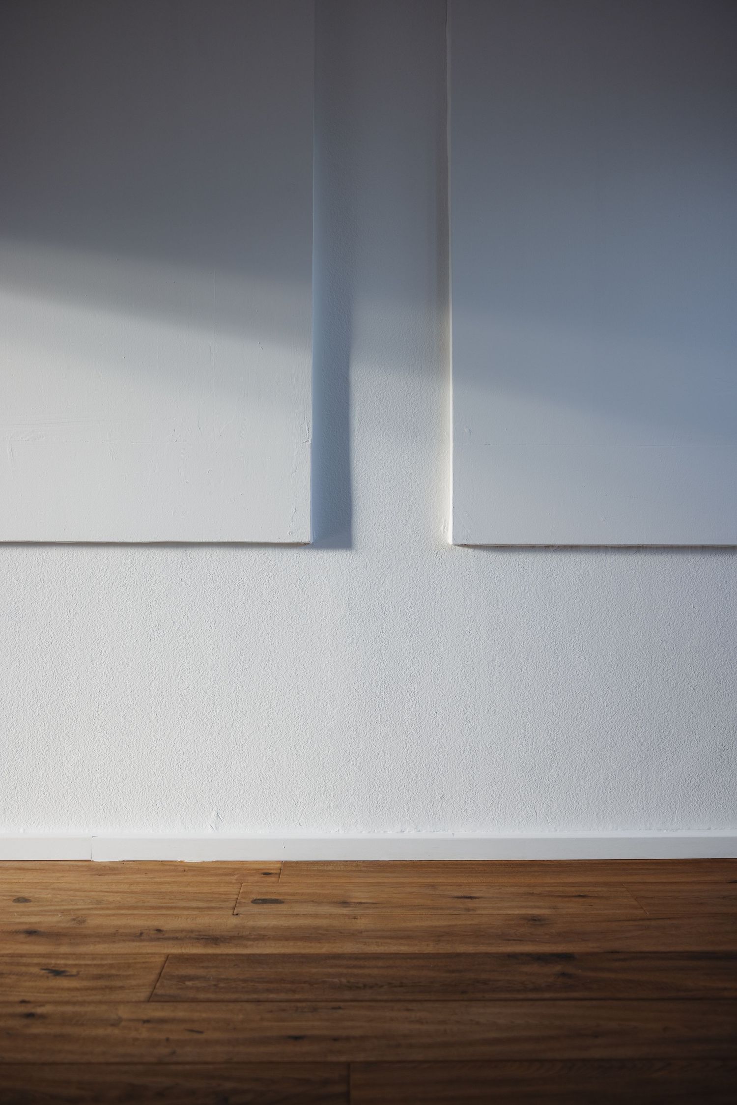Close-up of two white canvases on white wall above rustic hardwood floor in sunlight.